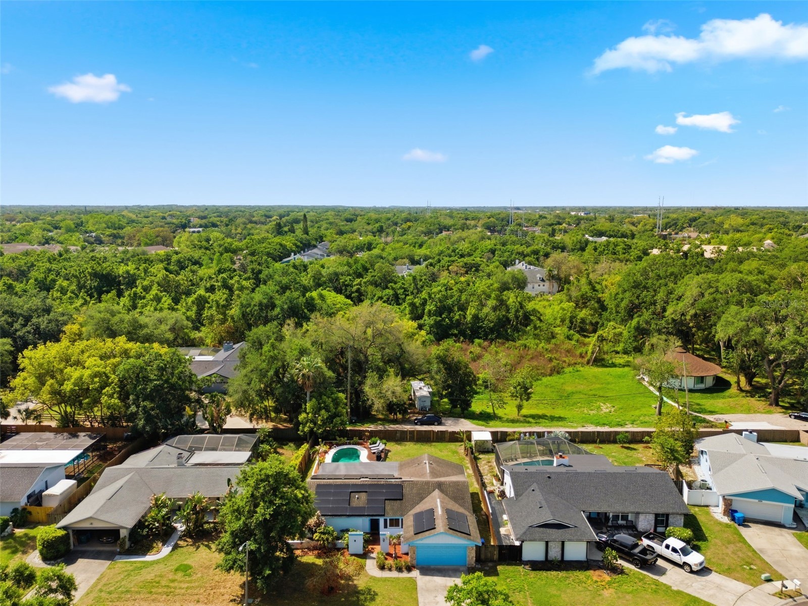 2816 Rustic Oaks Drive Palm Harbor FL 34684 W7884575 image59