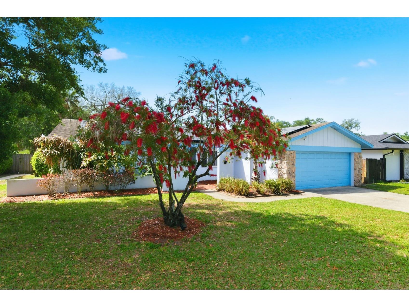 2816 Rustic Oaks Drive Palm Harbor FL 34684 W7884575 image6