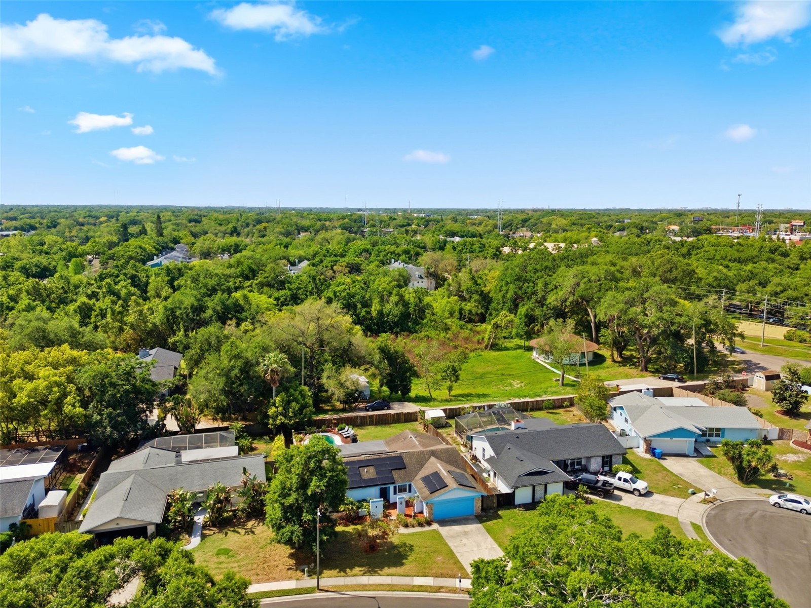 2816 Rustic Oaks Drive Palm Harbor FL 34684 W7884575 image60
