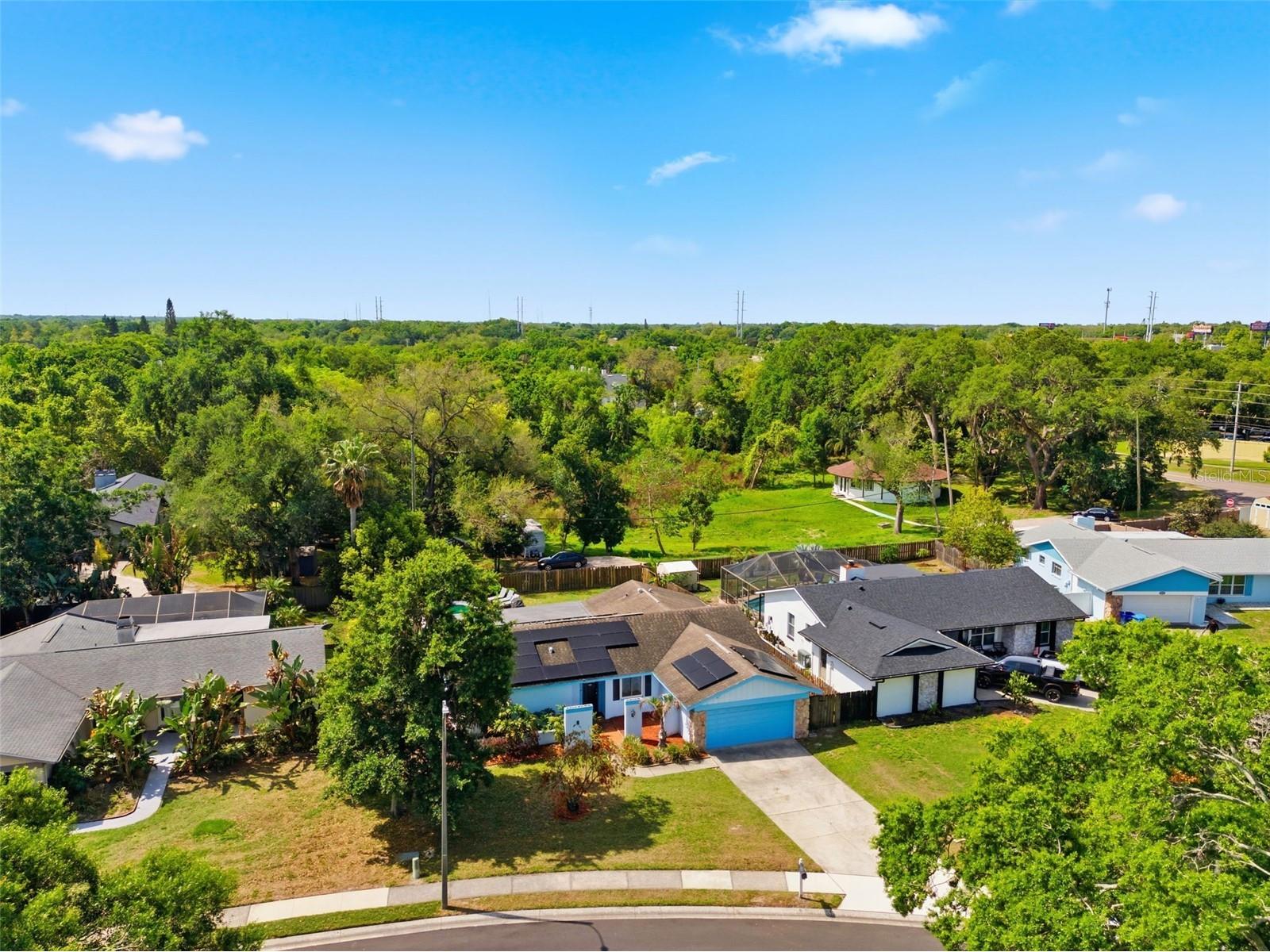 2816 Rustic Oaks Drive Palm Harbor FL 34684 W7884575 image61