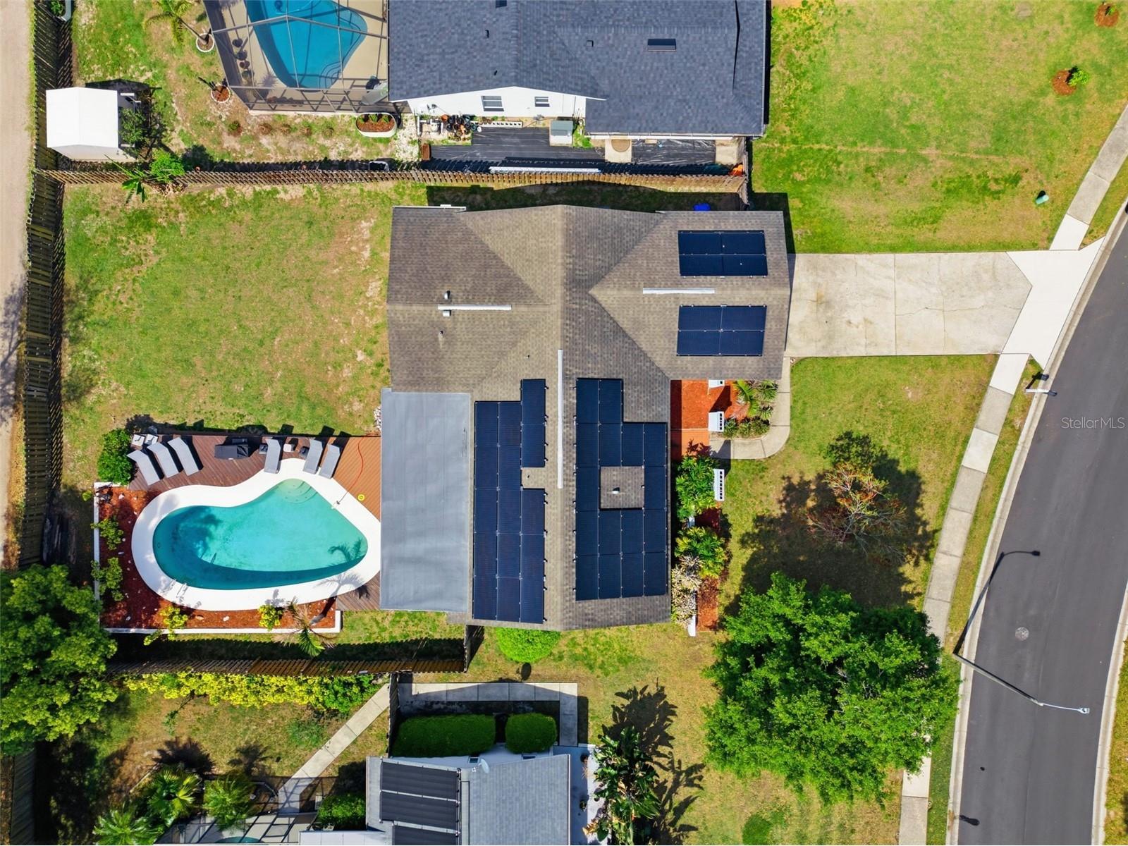 2816 Rustic Oaks Drive Palm Harbor FL 34684 W7884575 image62