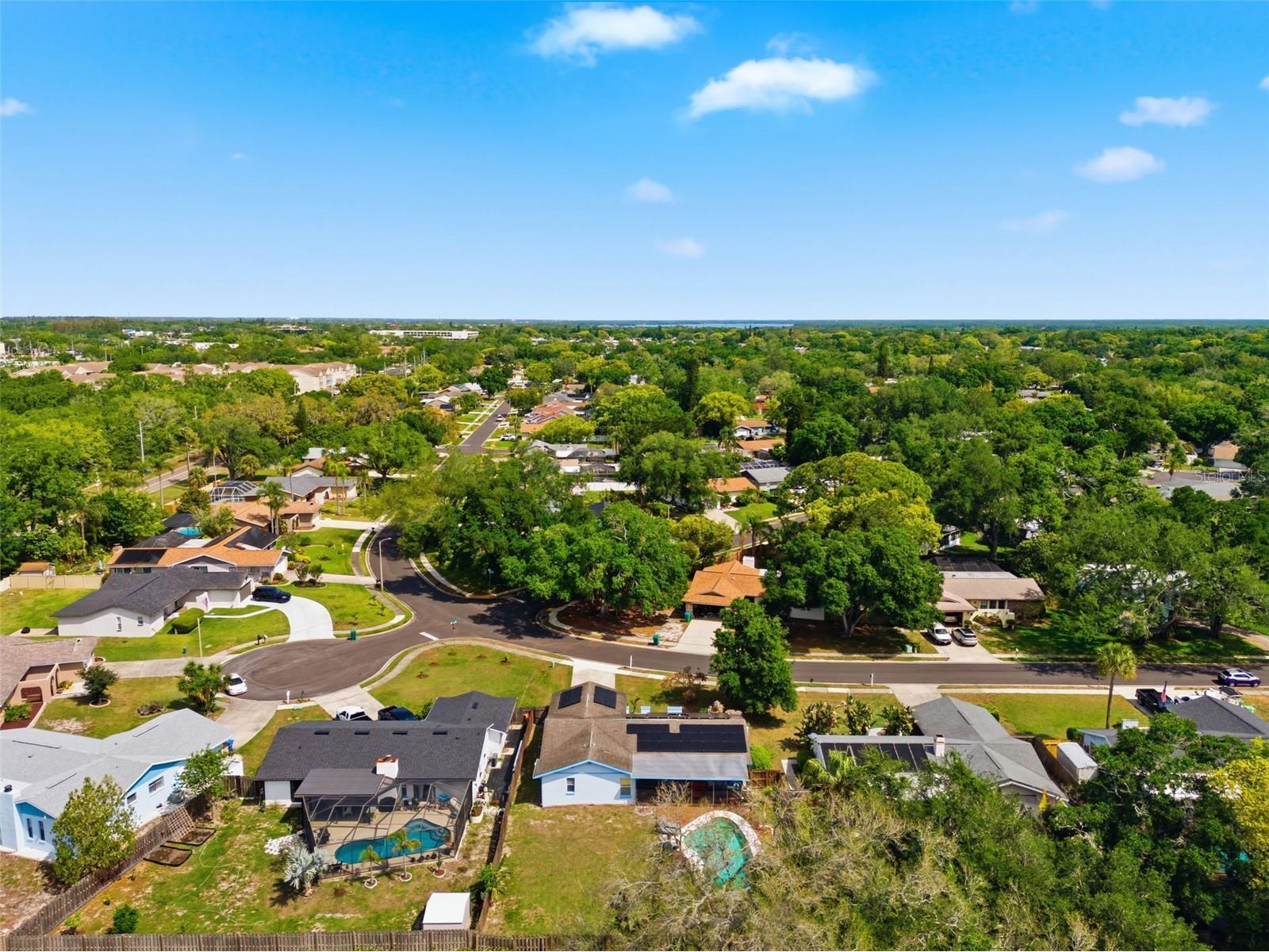 2816 Rustic Oaks Drive Palm Harbor FL 34684 W7884575 image64