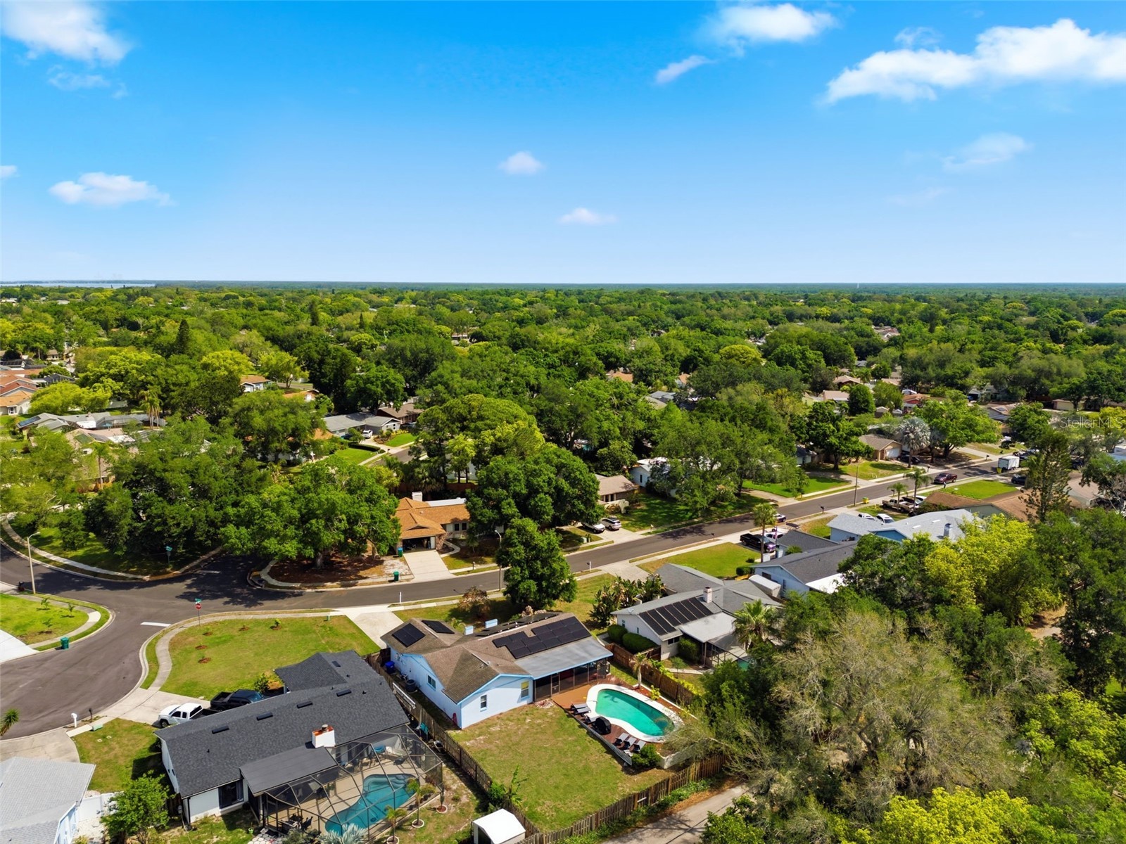 2816 Rustic Oaks Drive Palm Harbor FL 34684 W7884575 image65