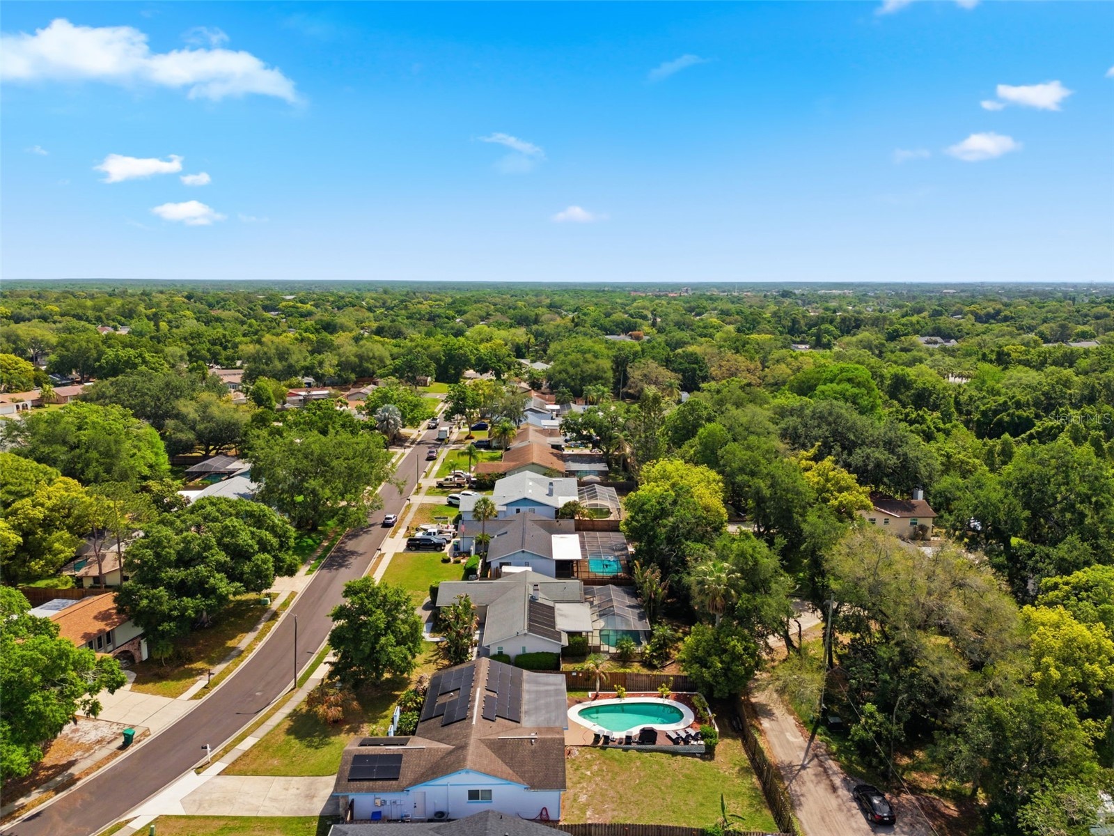 2816 Rustic Oaks Drive Palm Harbor FL 34684 W7884575 image66