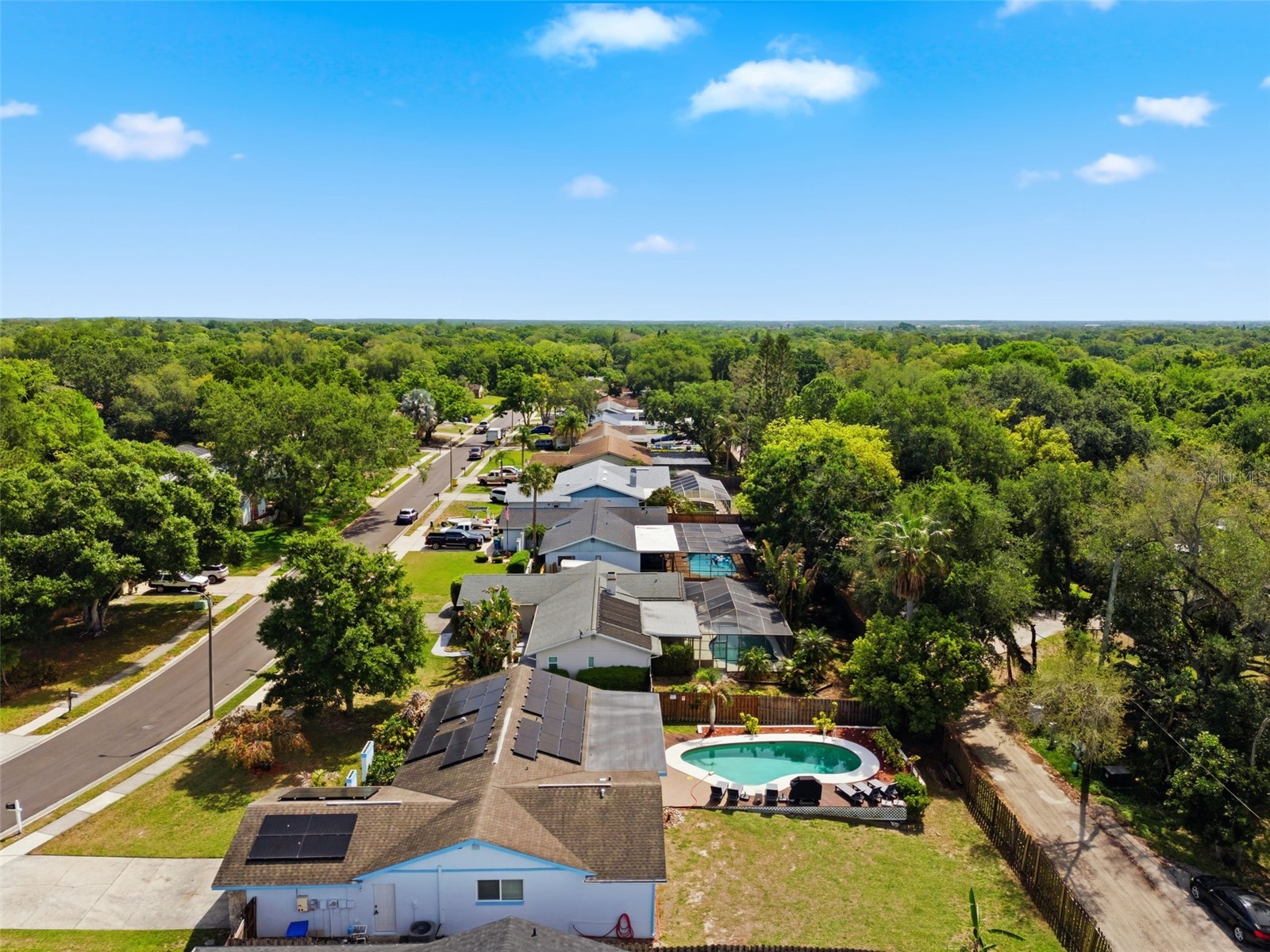2816 Rustic Oaks Drive Palm Harbor FL 34684 W7884575 image67