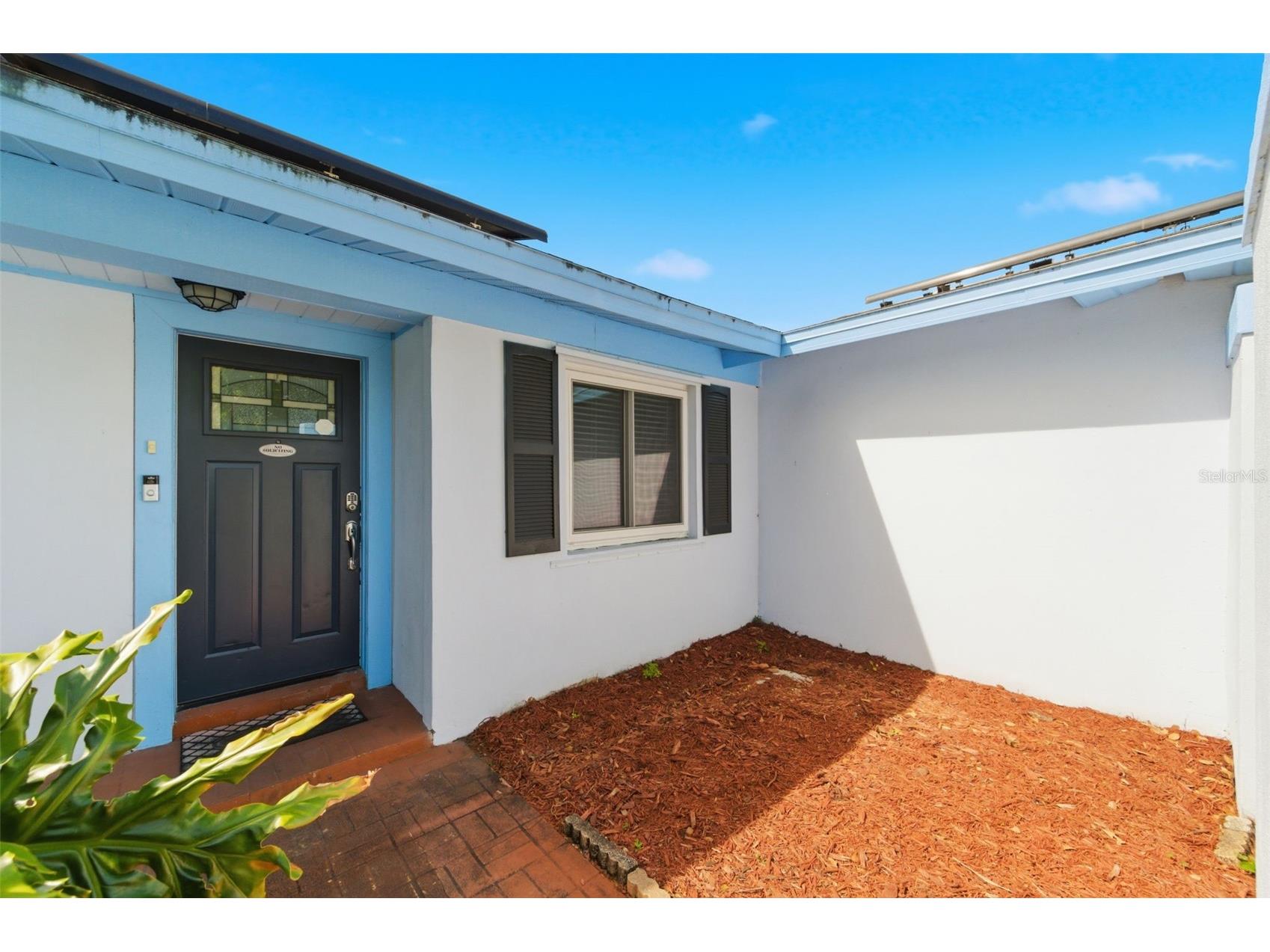 2816 Rustic Oaks Drive Palm Harbor FL 34684 W7884575 image7