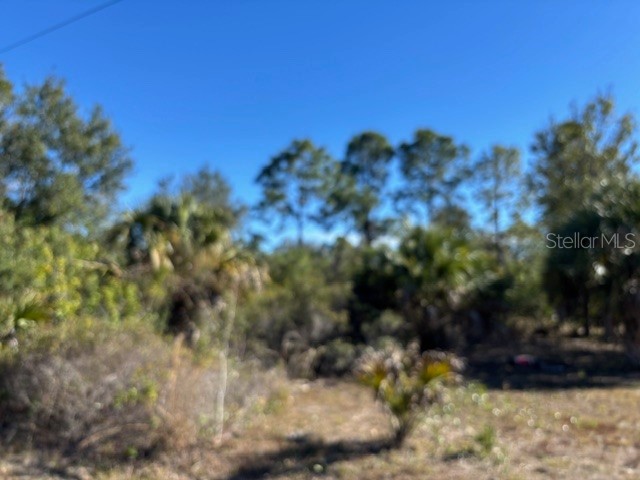 28165 Monte Cristo Drive Punta Gorda FL 33955 C7520477 image1
