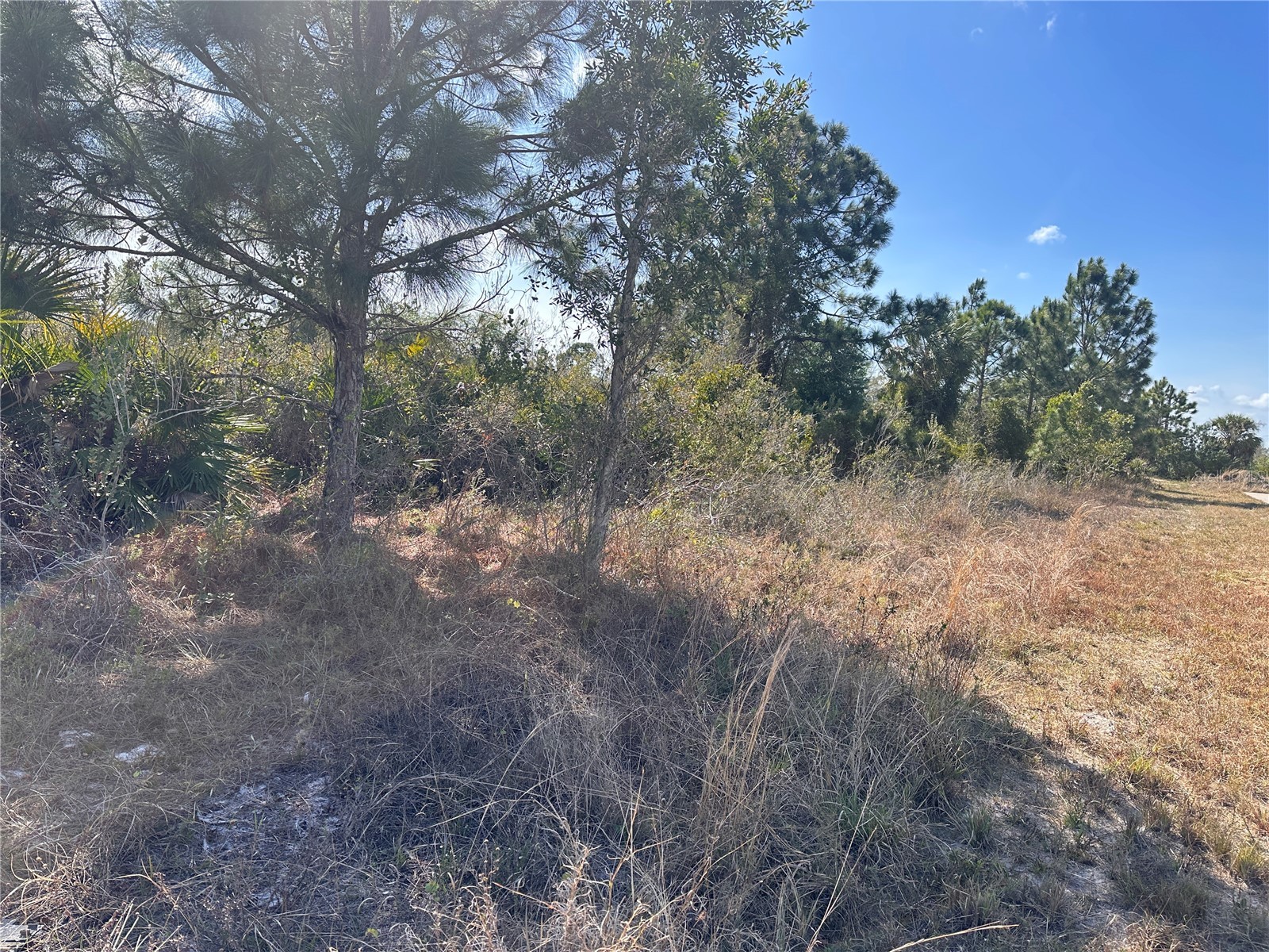 2817 56th Street W Lehigh Acres FL 33971 O6234295 image7