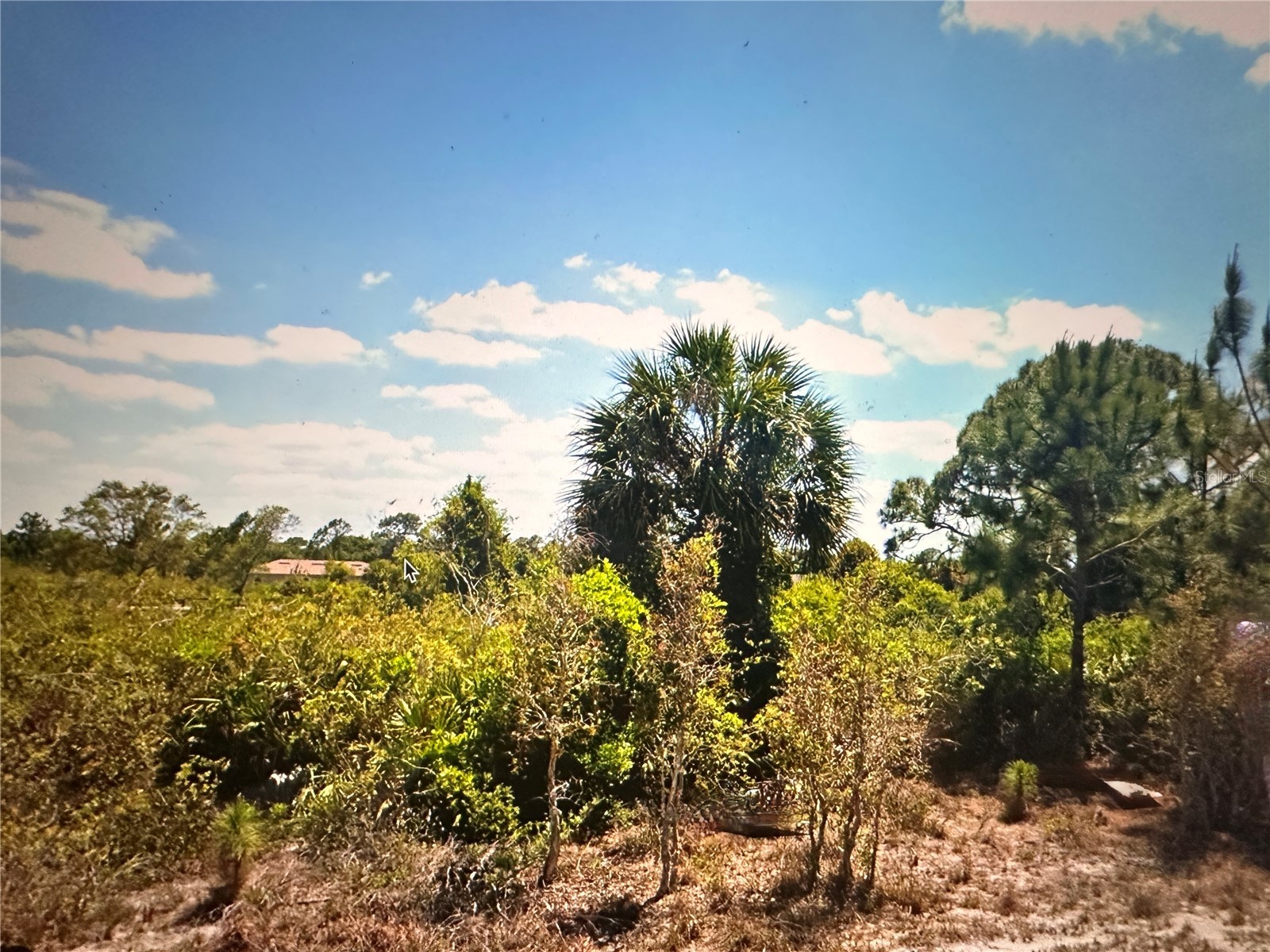 2817 56th Street W Lehigh Acres FL 33971 O6234295 image8