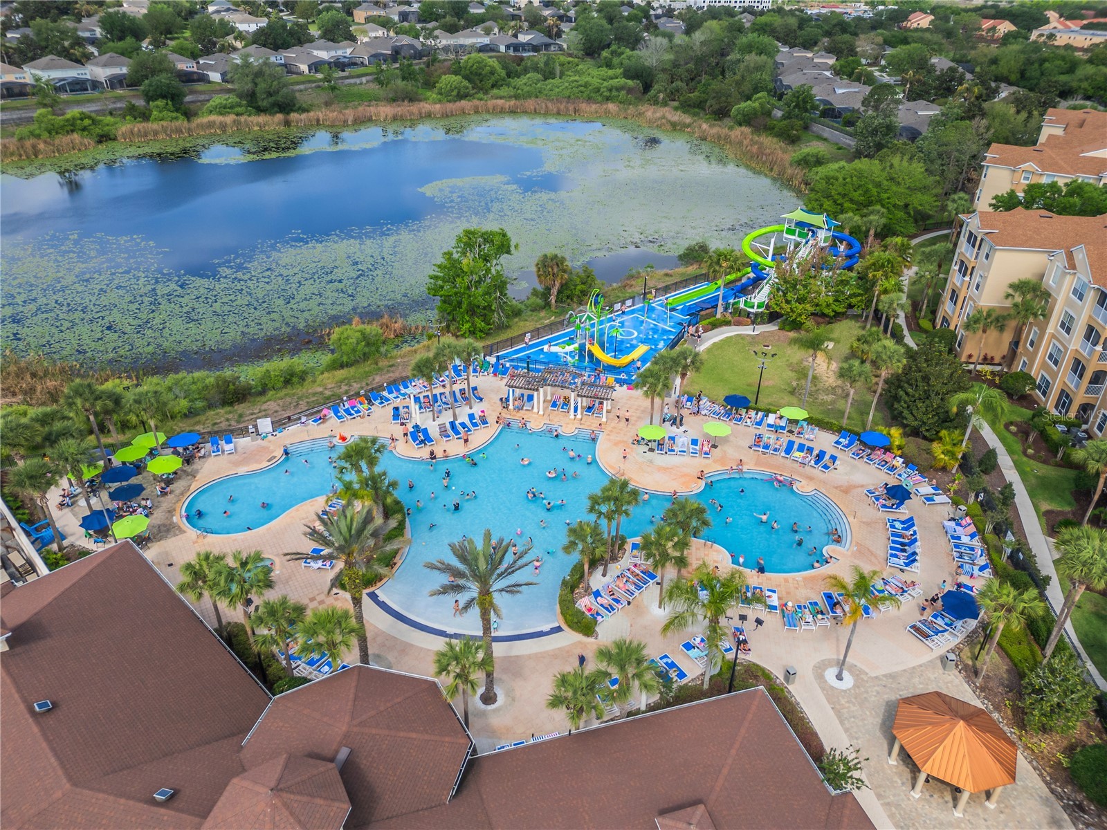 2817 Almaton Loop #301 Kissimmee FL 34747 O6396048 image2