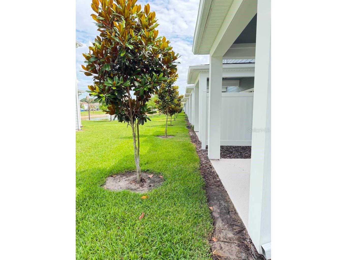 2817 Bright Bird Lane Winter Park FL 32792 O6412306 image10