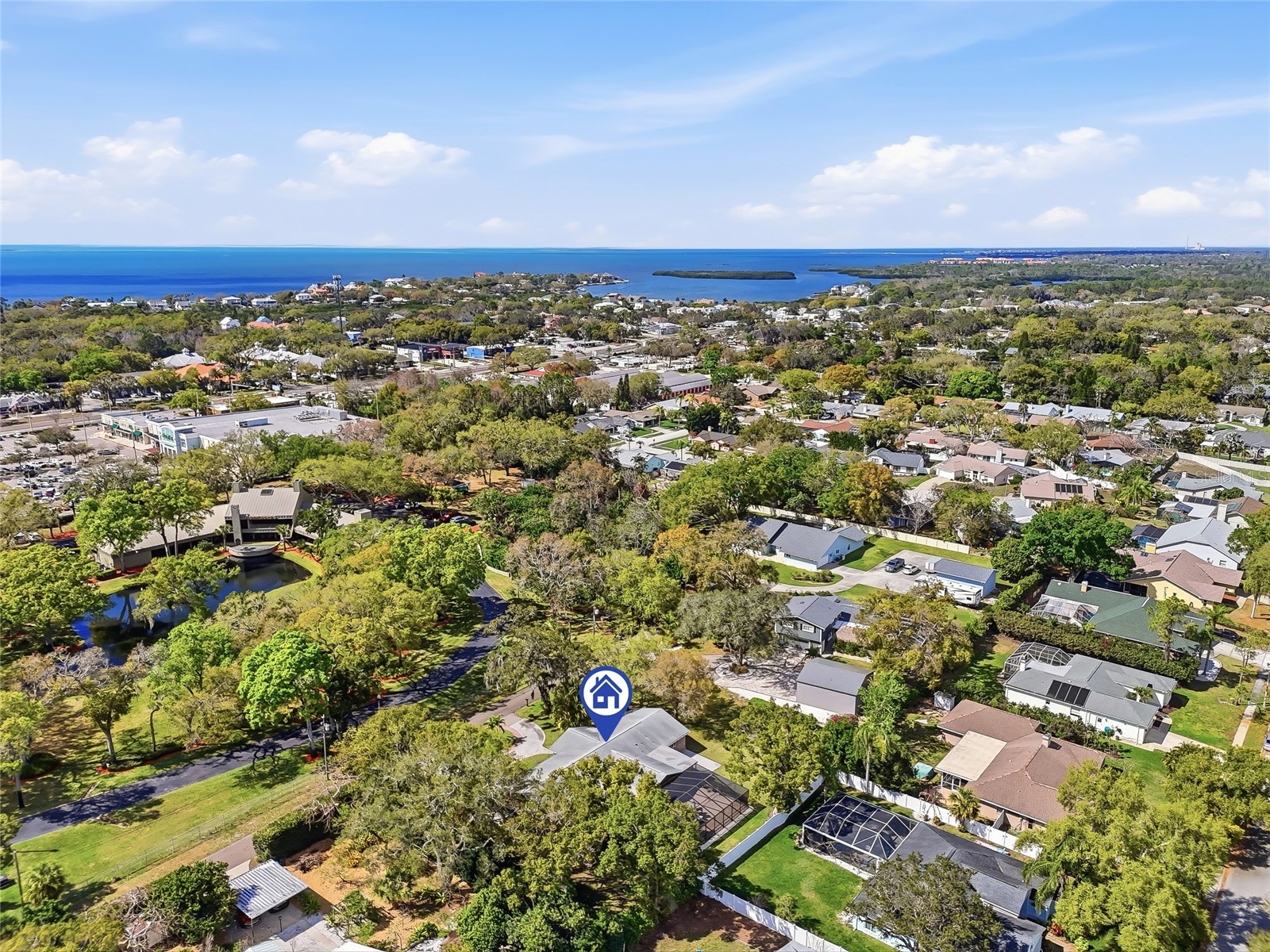 2817 Fleeman Road Palm Harbor FL 34683 TB8486854 image59