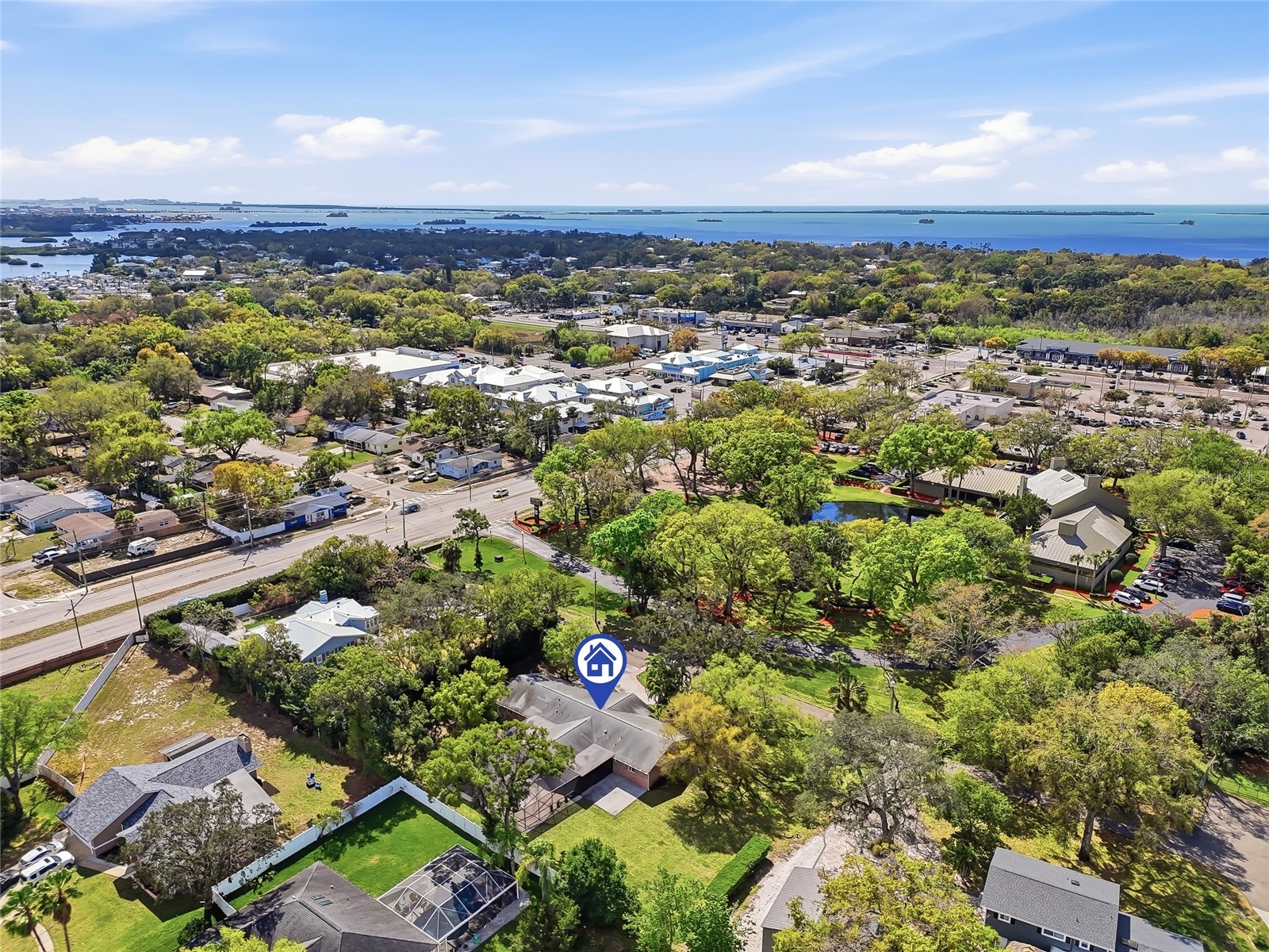 2817 Fleeman Road Palm Harbor FL 34683 TB8486854 image60