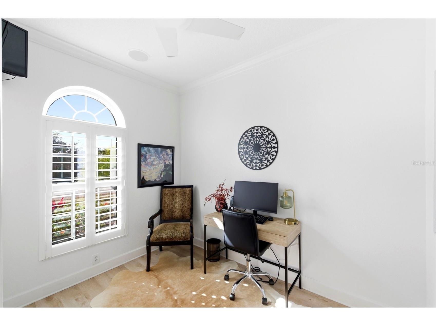 2817 Plantain Drive Holiday FL 34691 TB8481453 image12