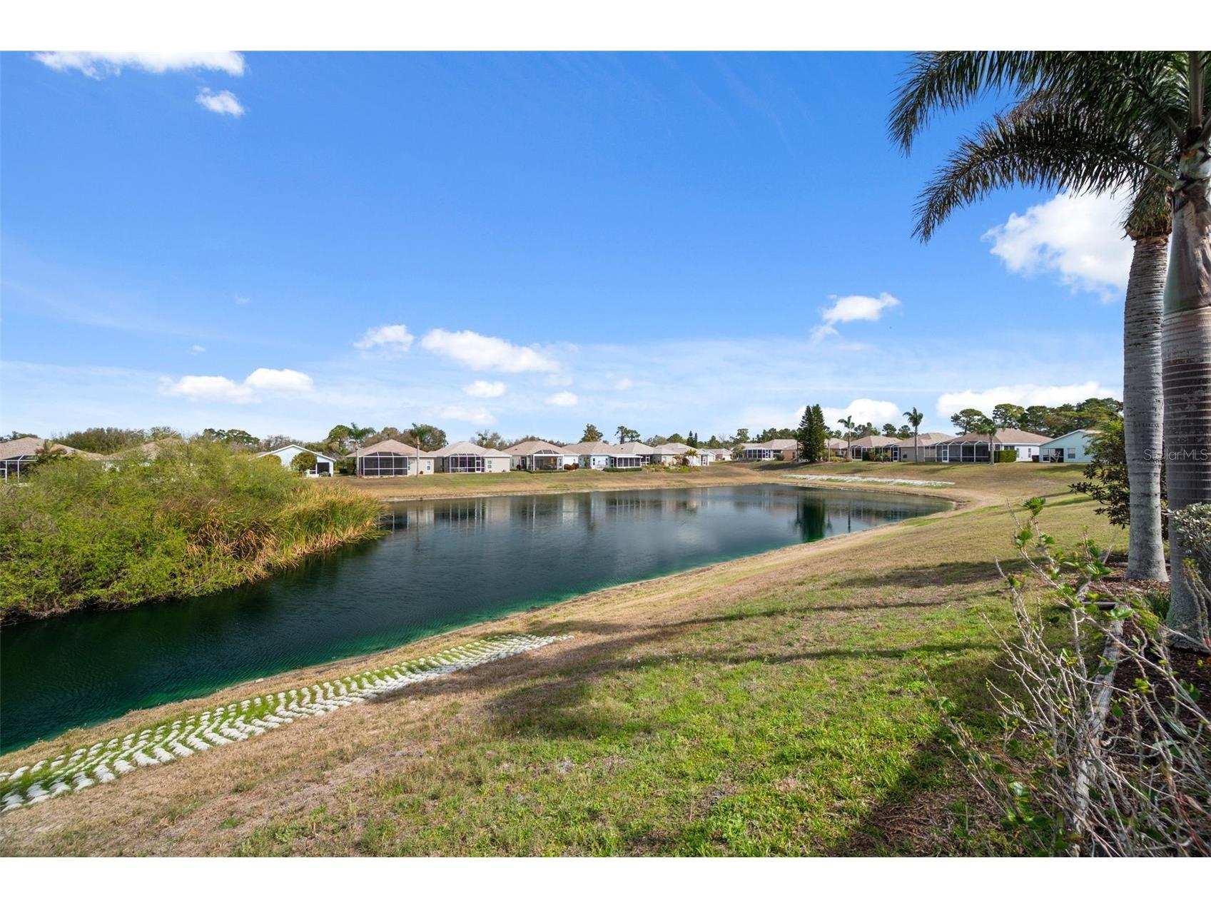 2817 Plantain Drive Holiday FL 34691 TB8481453 image31