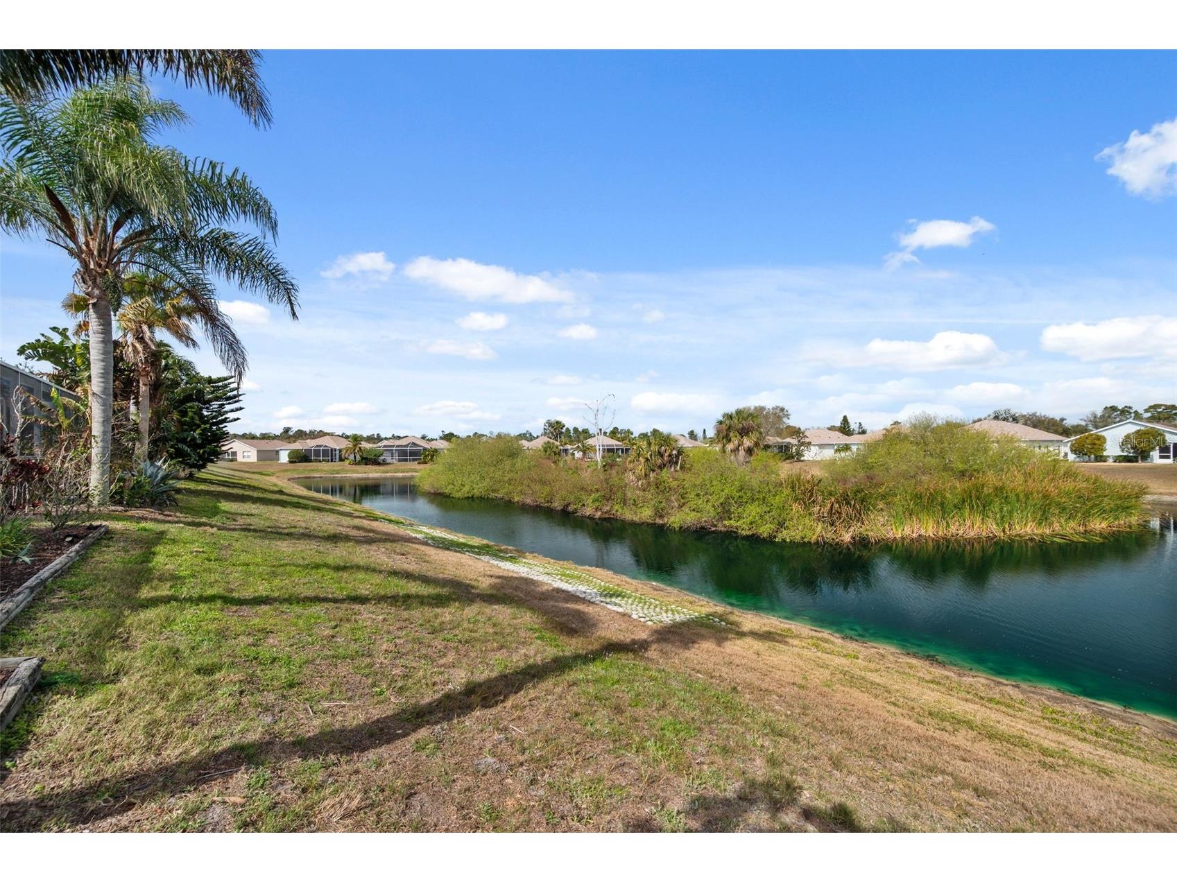 2817 Plantain Drive Holiday FL 34691 TB8481453 image32