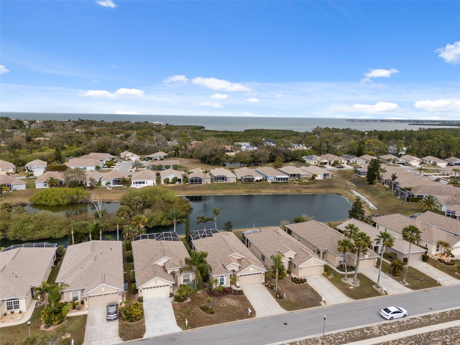 2817 Plantain Drive Holiday FL 34691 TB8481453 image40