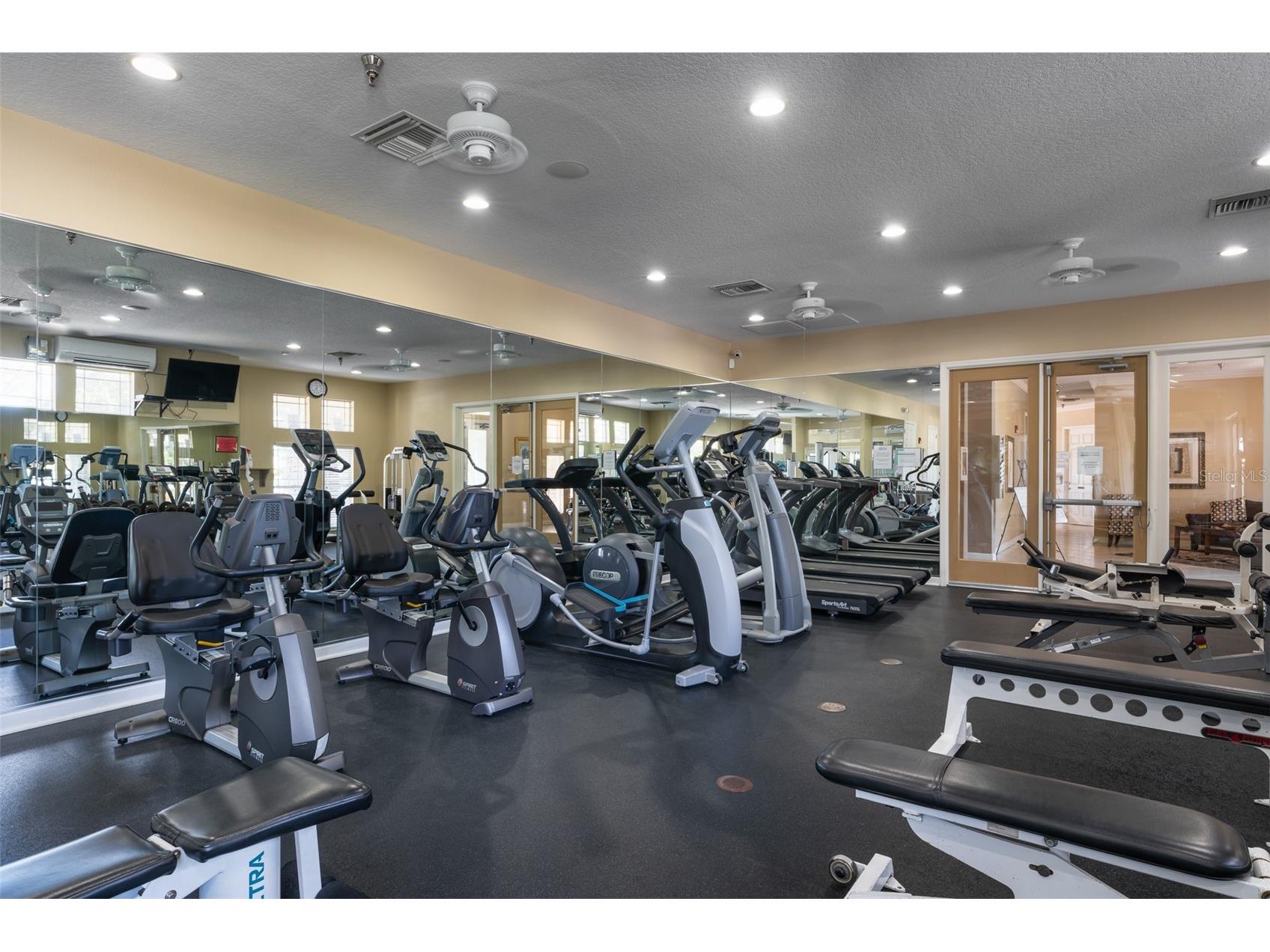 2817 Plantain Drive Holiday FL 34691 TB8481453 image50