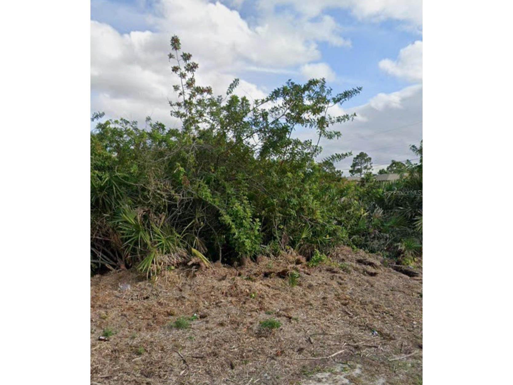 2818 14th Street W Lehigh Acres FL 33971 TB8501657 image2