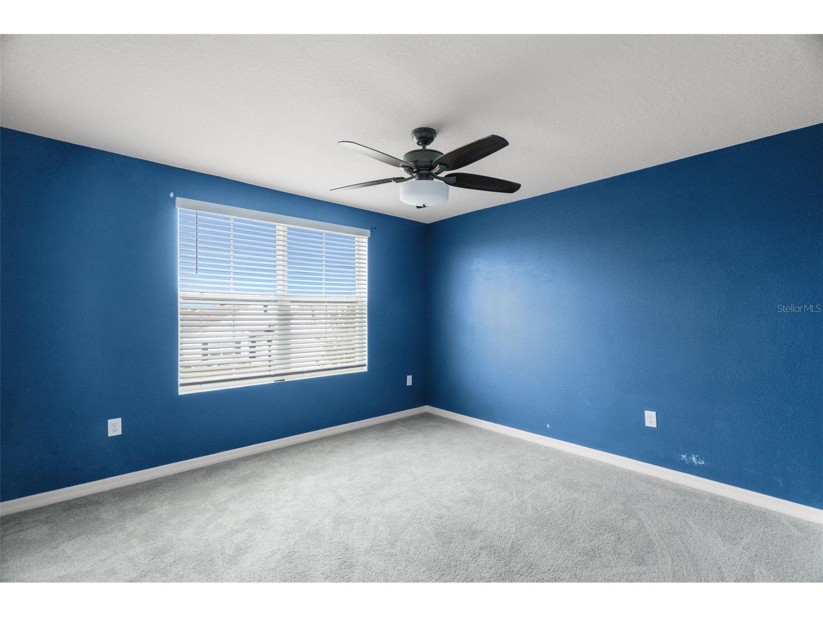 2818 Gumbo Limbo Drive Wimauma FL 33598 TB8493578 image34