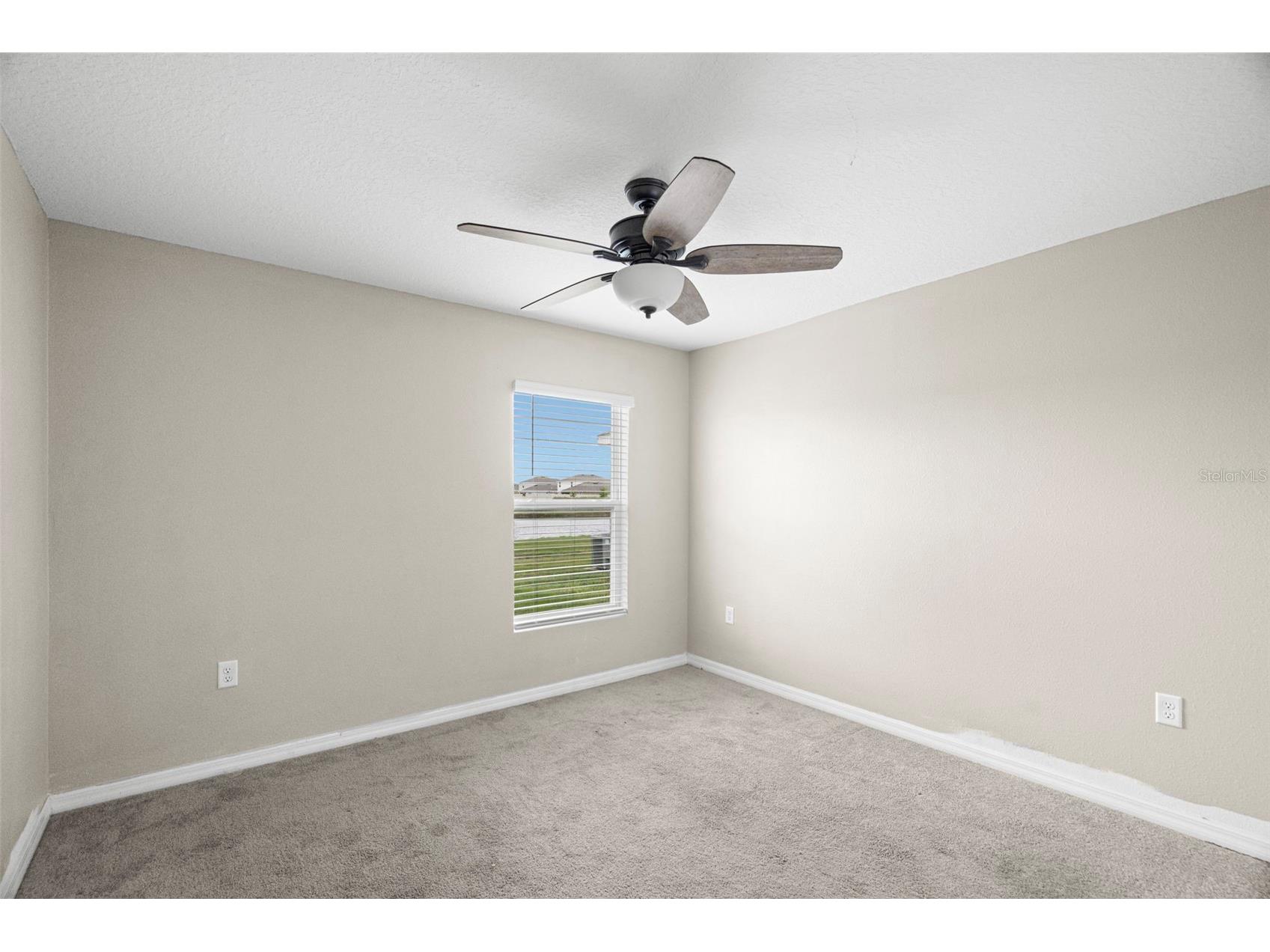 2818 Gumbo Limbo Drive Wimauma FL 33598 TB8493578 image38