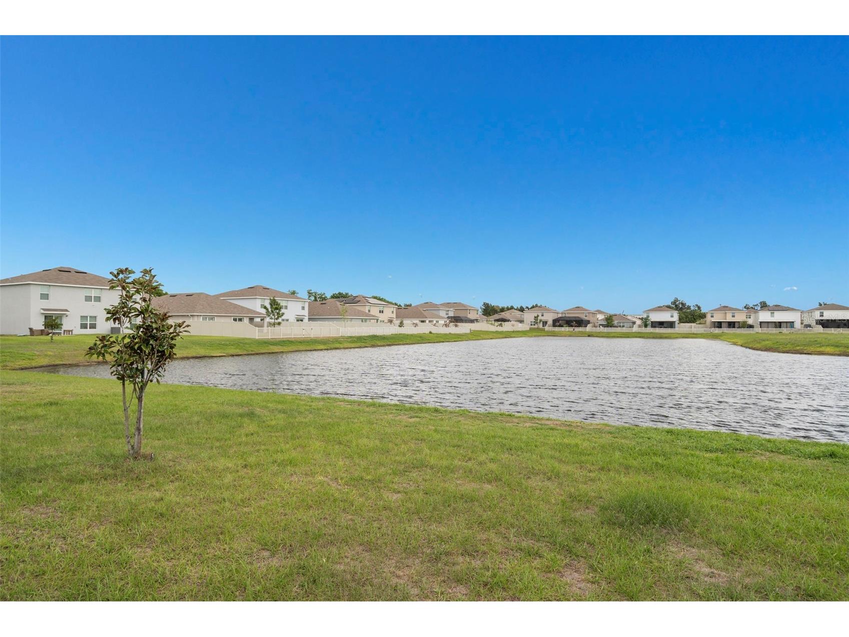 2818 Gumbo Limbo Drive Wimauma FL 33598 TB8493578 image41