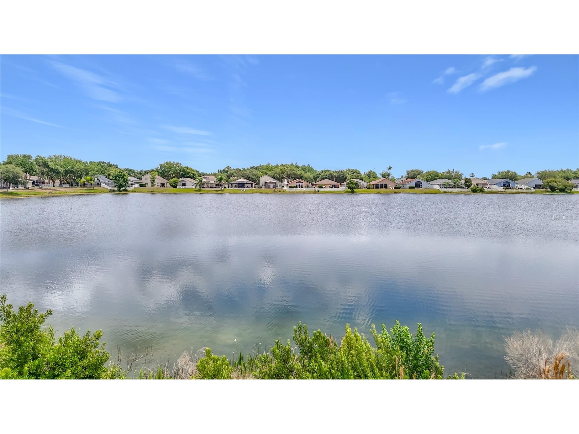 2818 Musky Mint Drive Land O Lakes FL 34638 TB8499769 image59