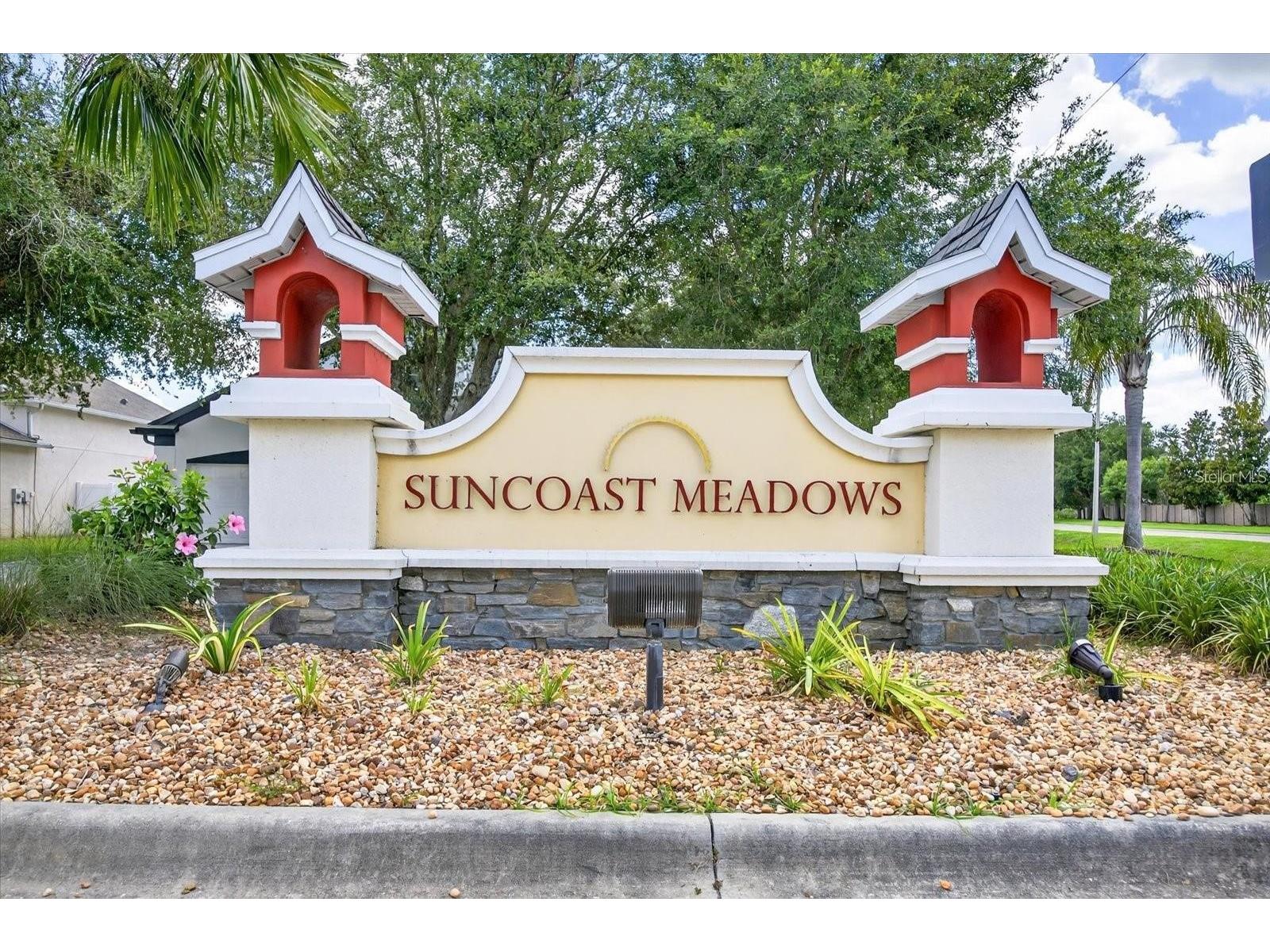 2818 Musky Mint Drive Land O Lakes FL 34638 TB8499769 image66