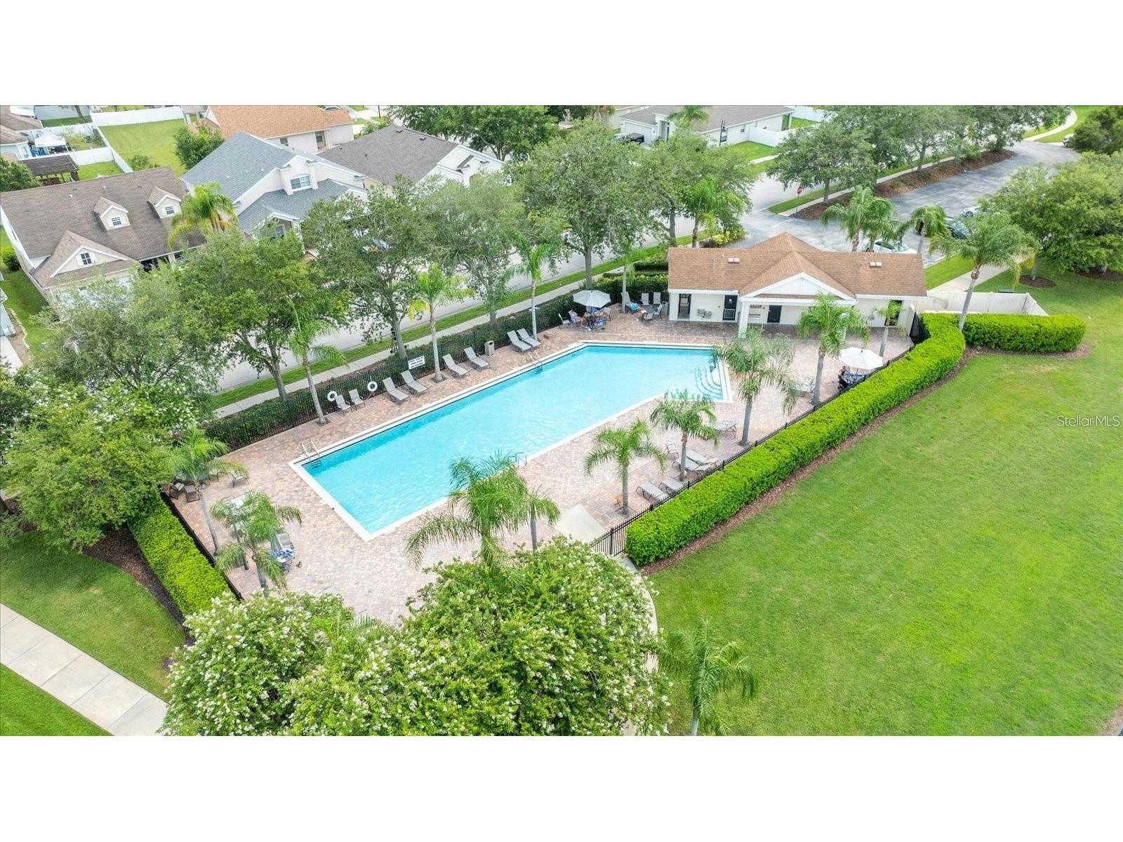 2818 Musky Mint Drive Land O Lakes FL 34638 TB8499769 image69