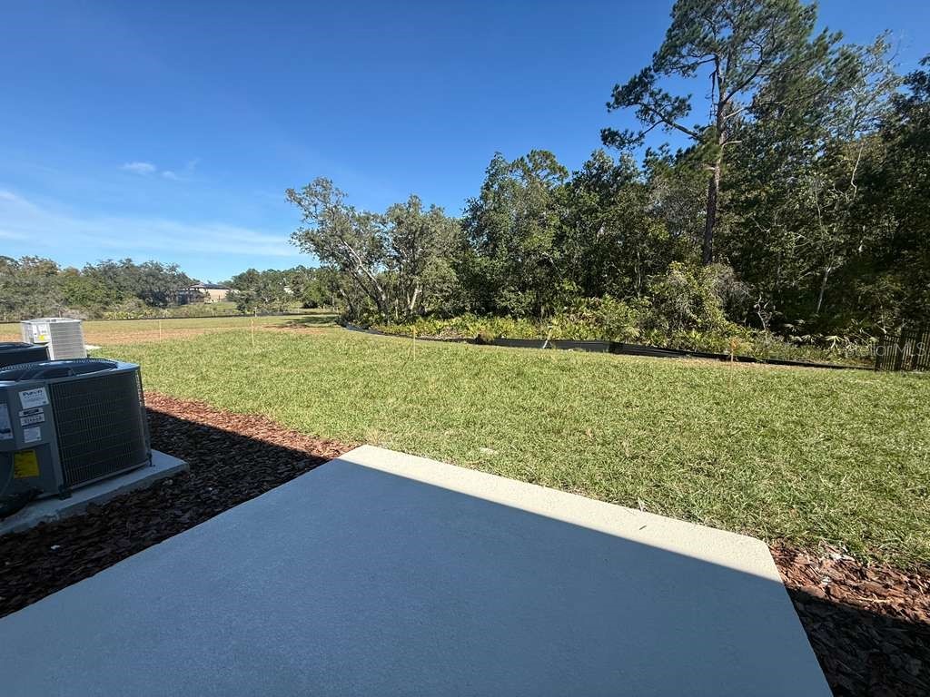 2818 Raindrop Run Street Clermont FL 34714 O6364085 image17