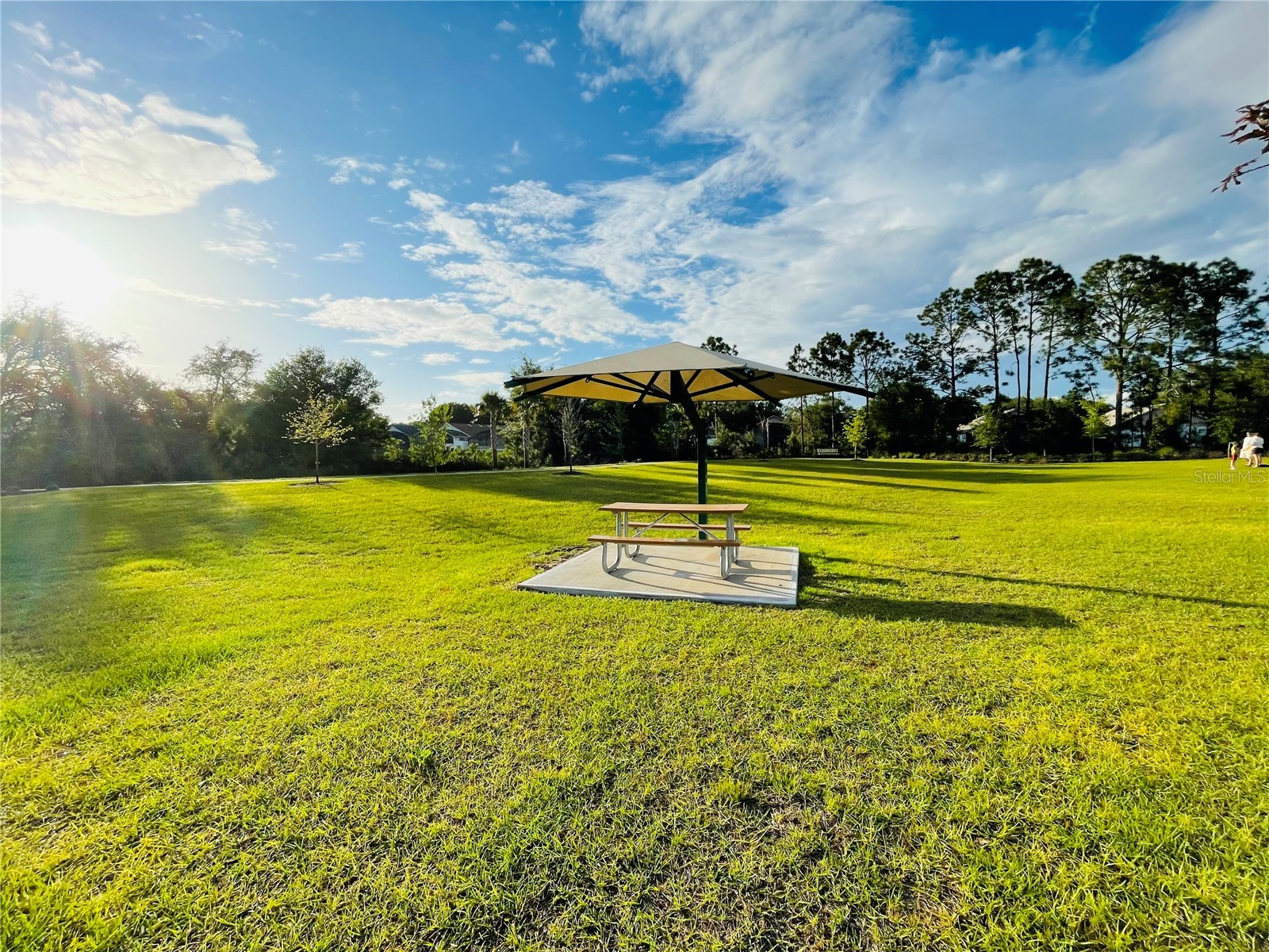 2818 Sanctuary Drive Clermont FL 34714 S5151970 image14