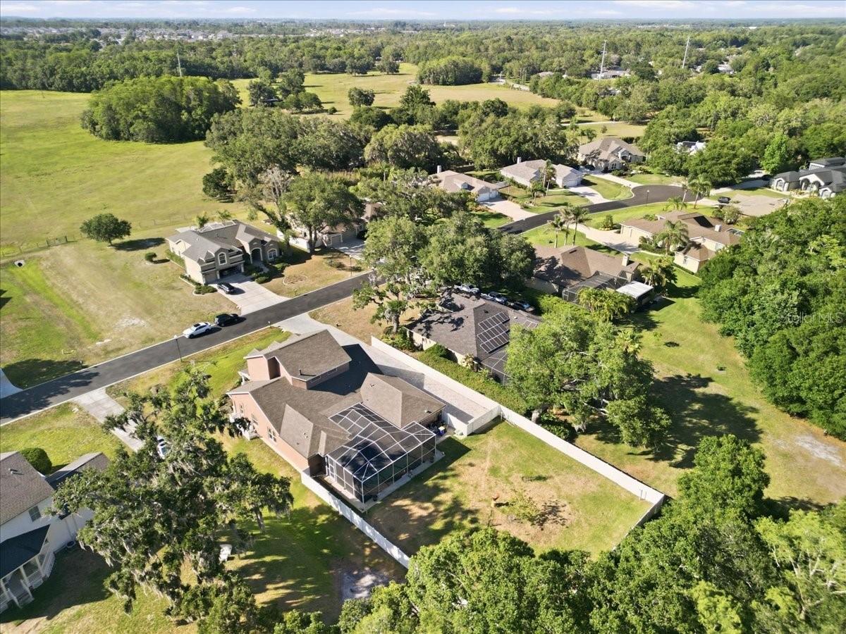 2818 Shipston Avenue New Port Richey FL 34655 TB8507216 image61