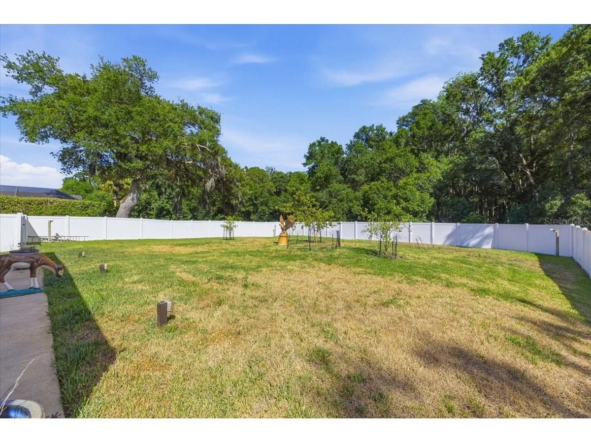 2818 Shipston Avenue New Port Richey FL 34655 TB8507216 image73