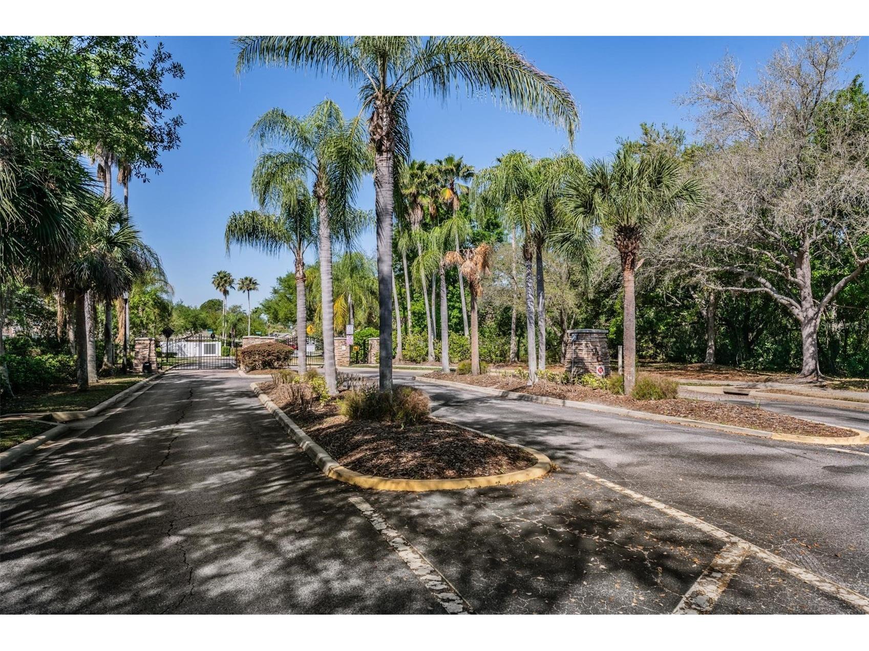 2819 Conch Hollow Drive Brandon FL 33511 A4687956 image33