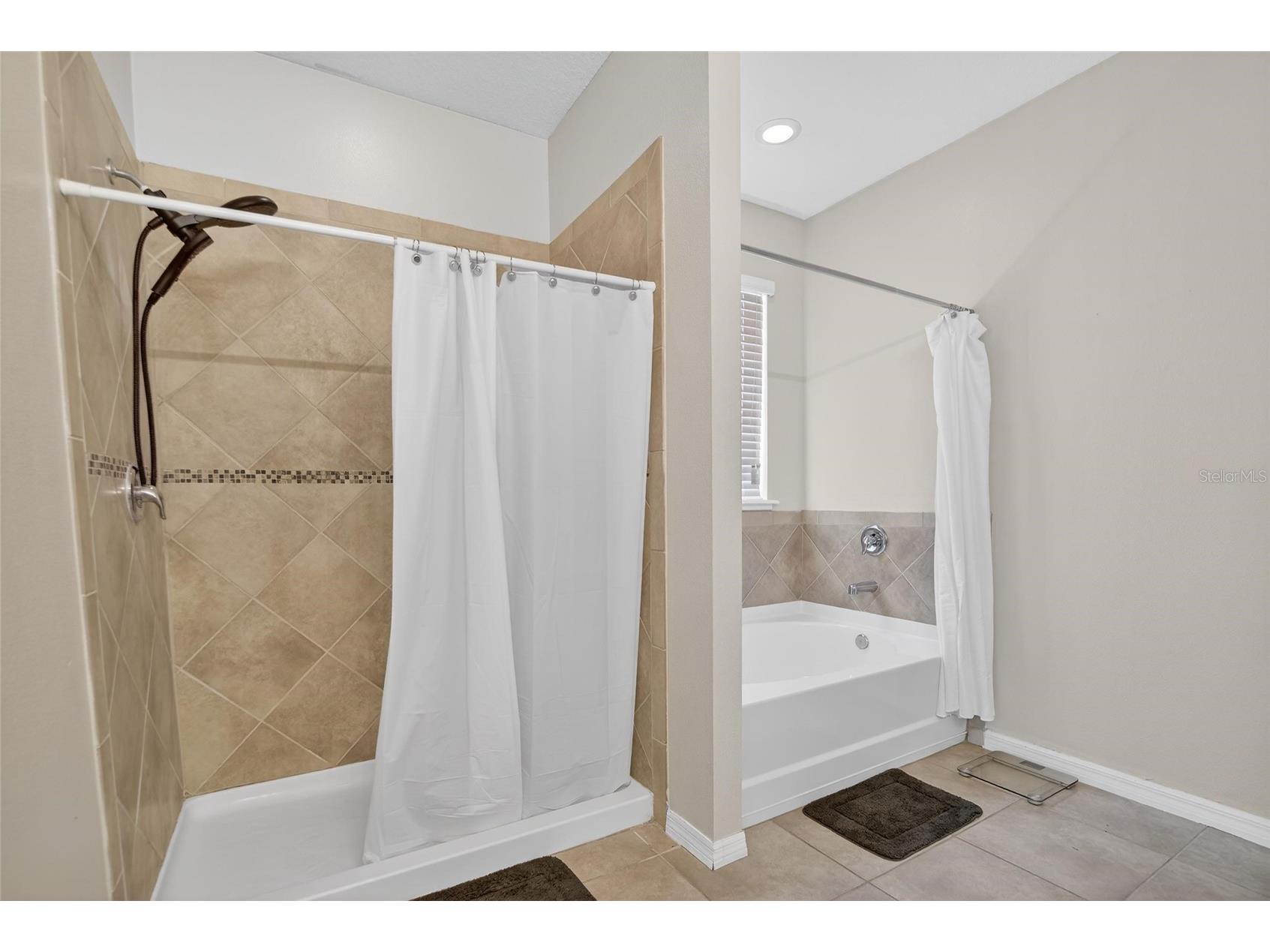 2819 Holly Bluff Court Plant City FL 33566 TB8473908 image22