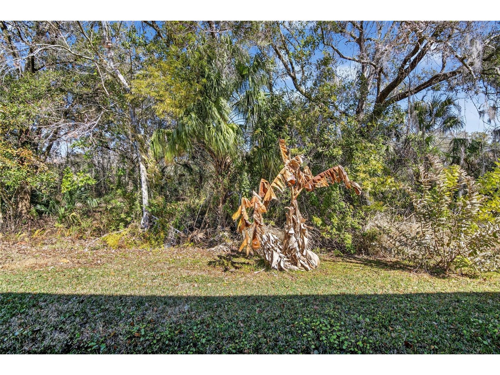 2819 Holly Bluff Court Plant City FL 33566 TB8473908 image43