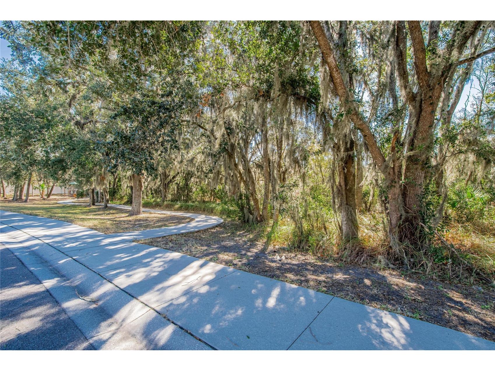 2819 Holly Bluff Court Plant City FL 33566 TB8473908 image45