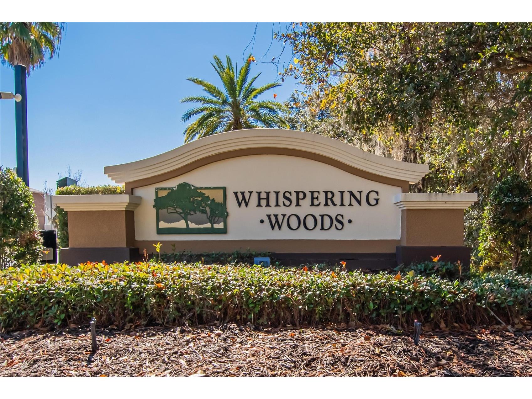 2819 Holly Bluff Court Plant City FL 33566 TB8473908 image46