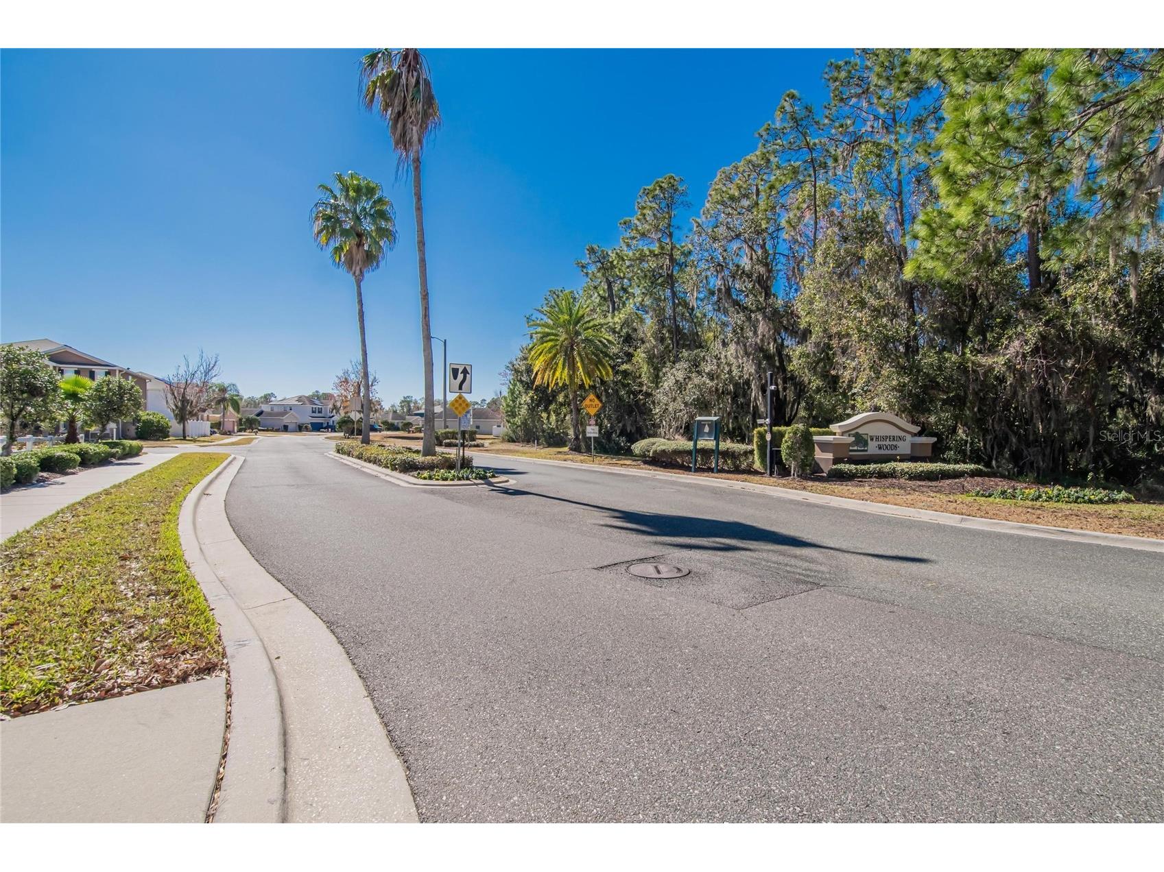 2819 Holly Bluff Court Plant City FL 33566 TB8473908 image47