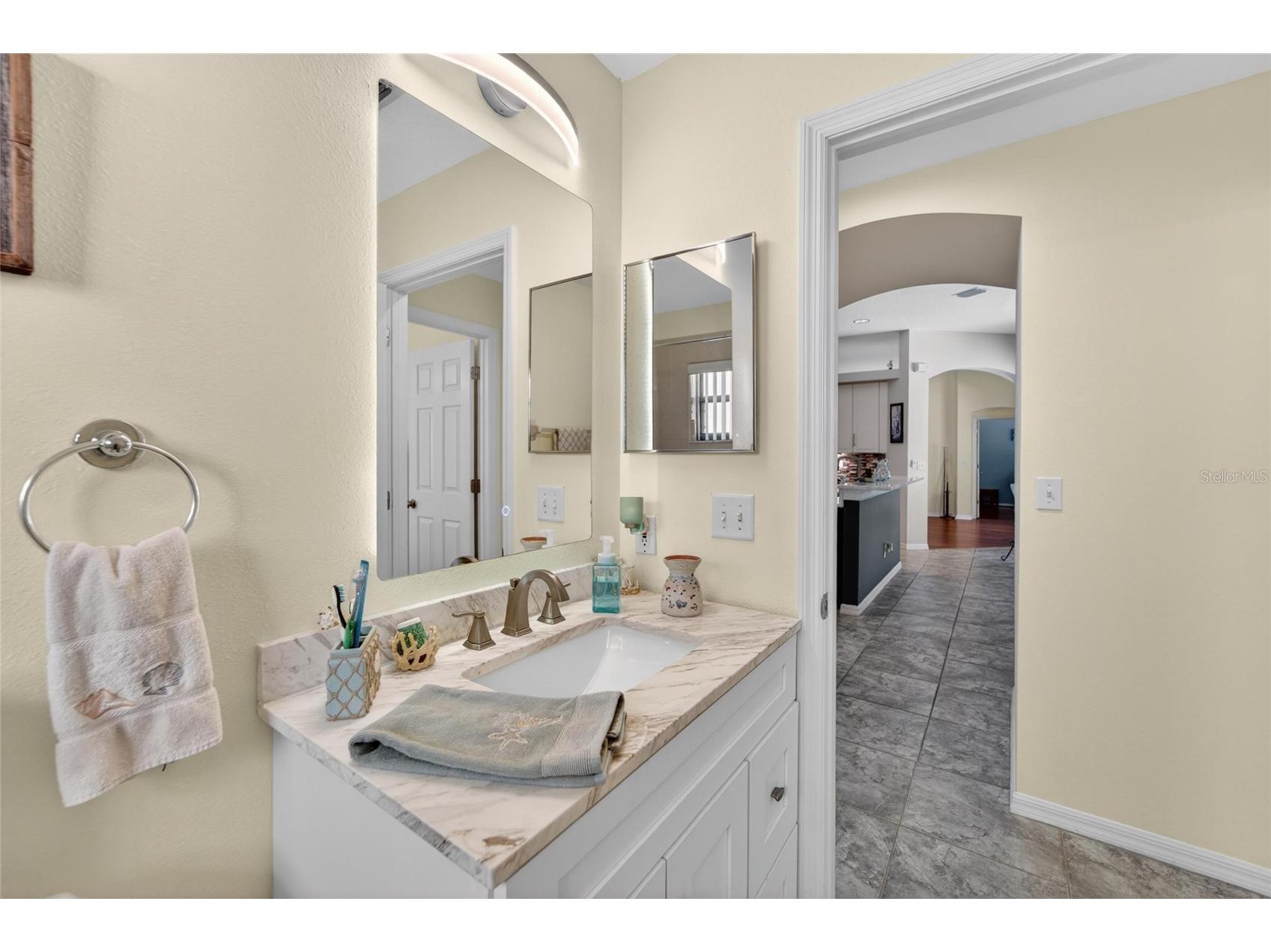 2819 Laurel Leaf Drive Valrico FL 33594 TB8509374 image41