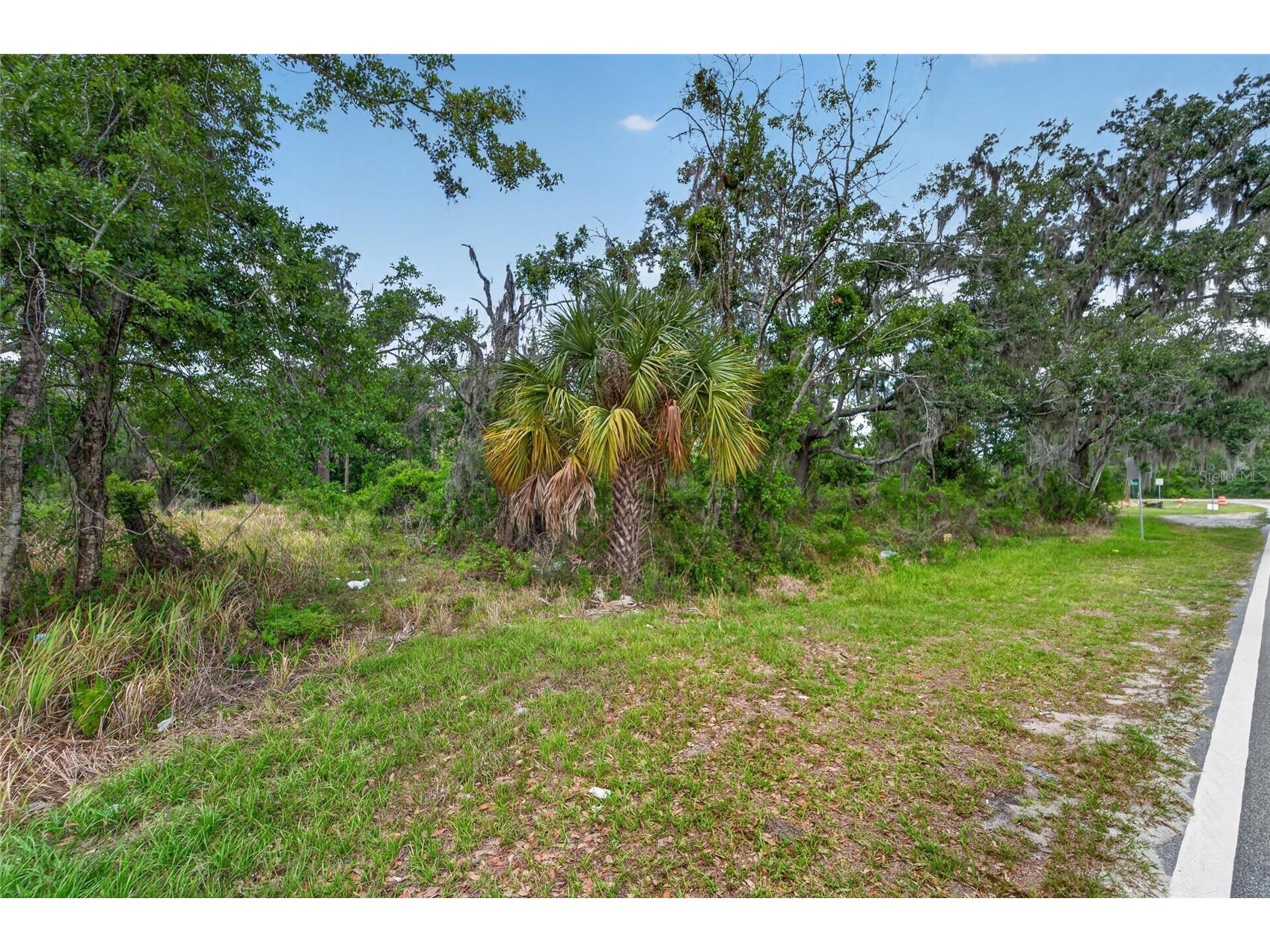 2819 Saffold Road Wimauma FL 33598 TB8502080 image13
