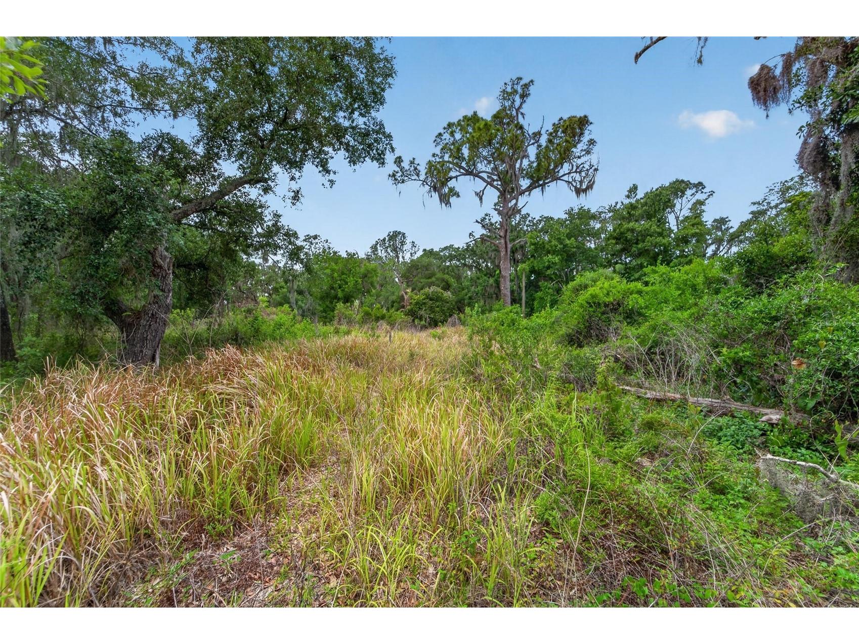 2819 Saffold Road Wimauma FL 33598 TB8502080 image14