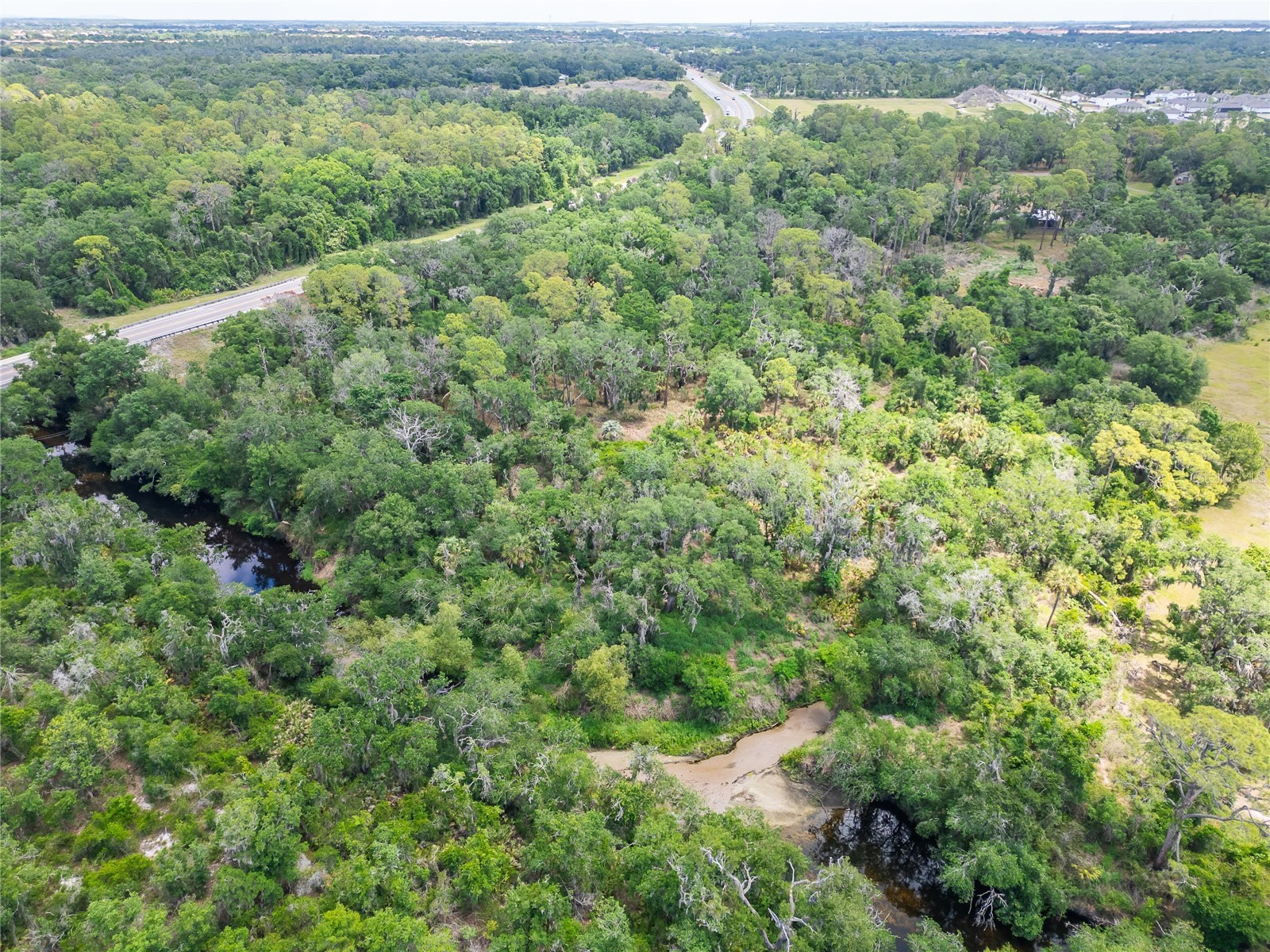 2819 Saffold Road Wimauma FL 33598 TB8502080 image30