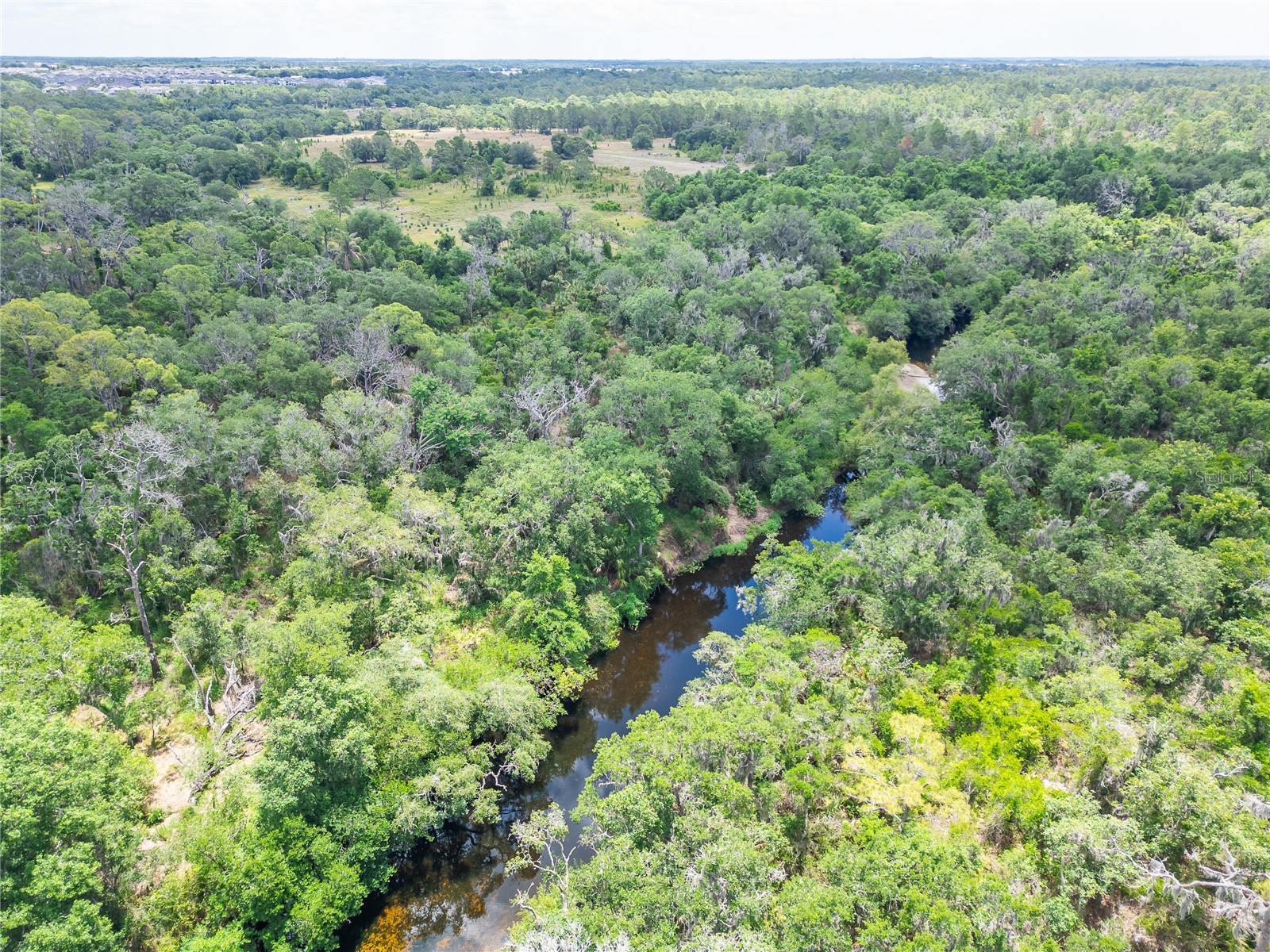 2819 Saffold Road Wimauma FL 33598 TB8502080 image34