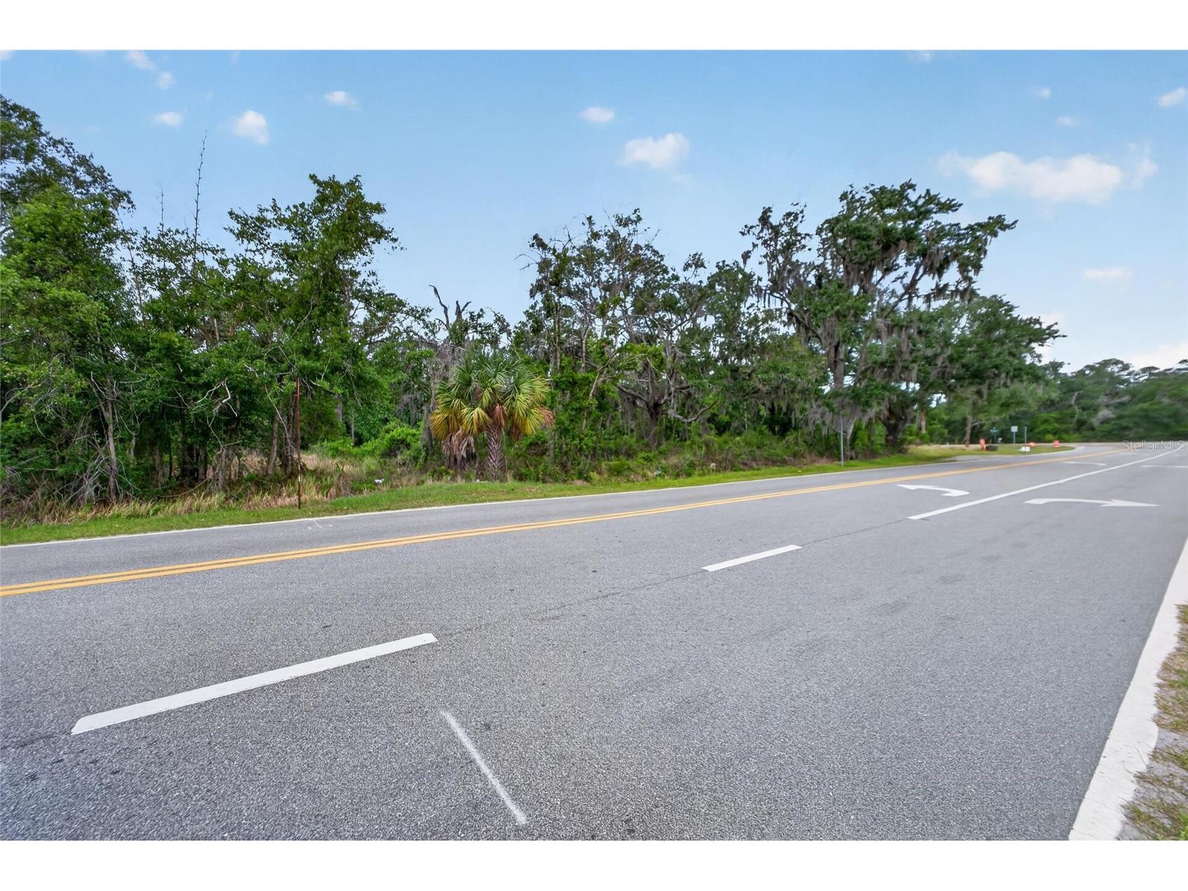 2819 Saffold Road Wimauma FL 33598 TB8502080 image5