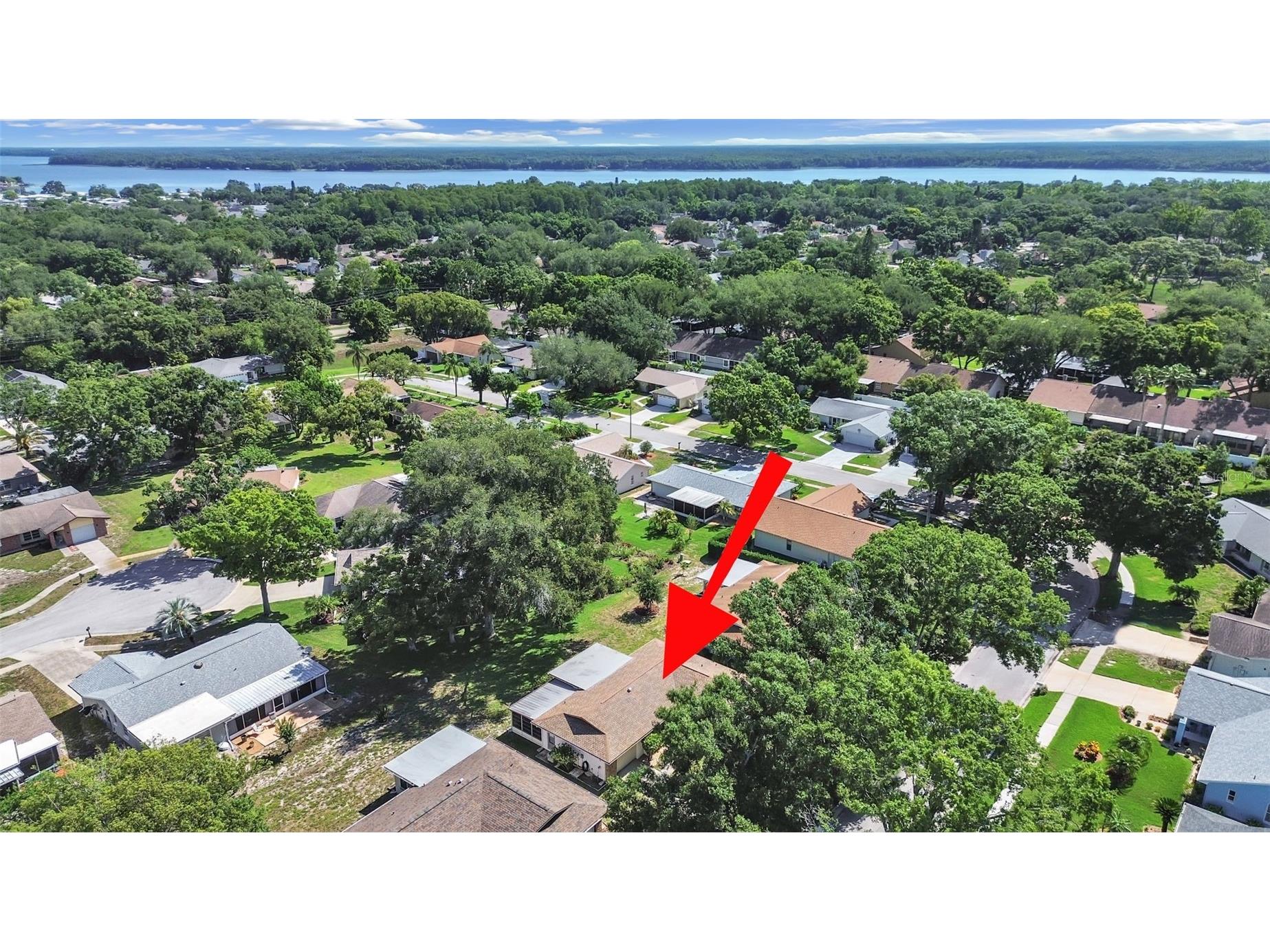 2819 Thistle Court S Palm Harbor FL 34684 TB8515135 image34