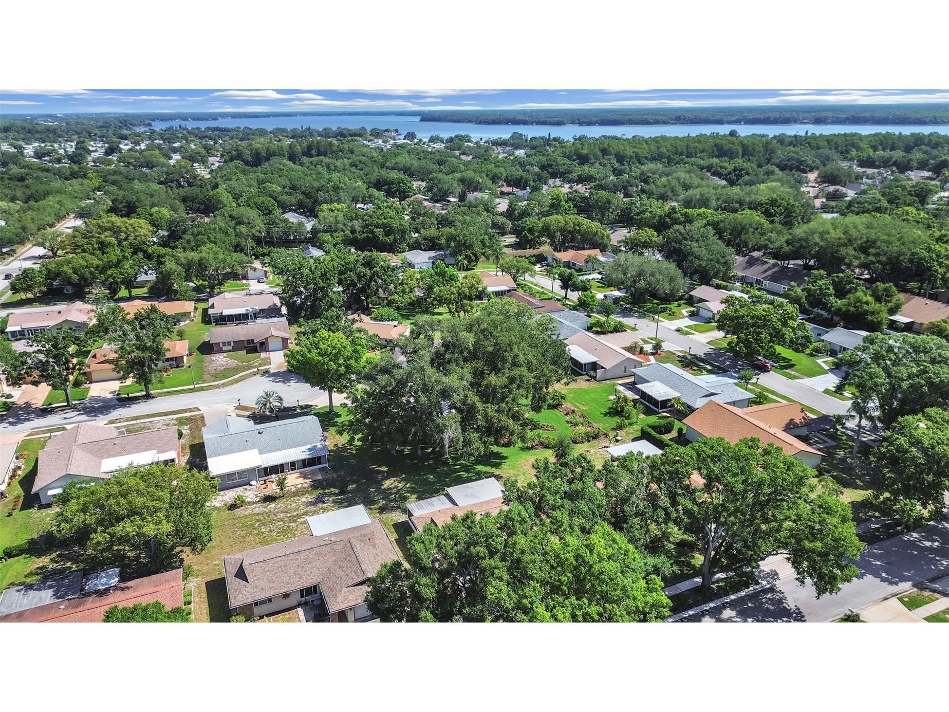 2819 Thistle Court S Palm Harbor FL 34684 TB8515135 image38