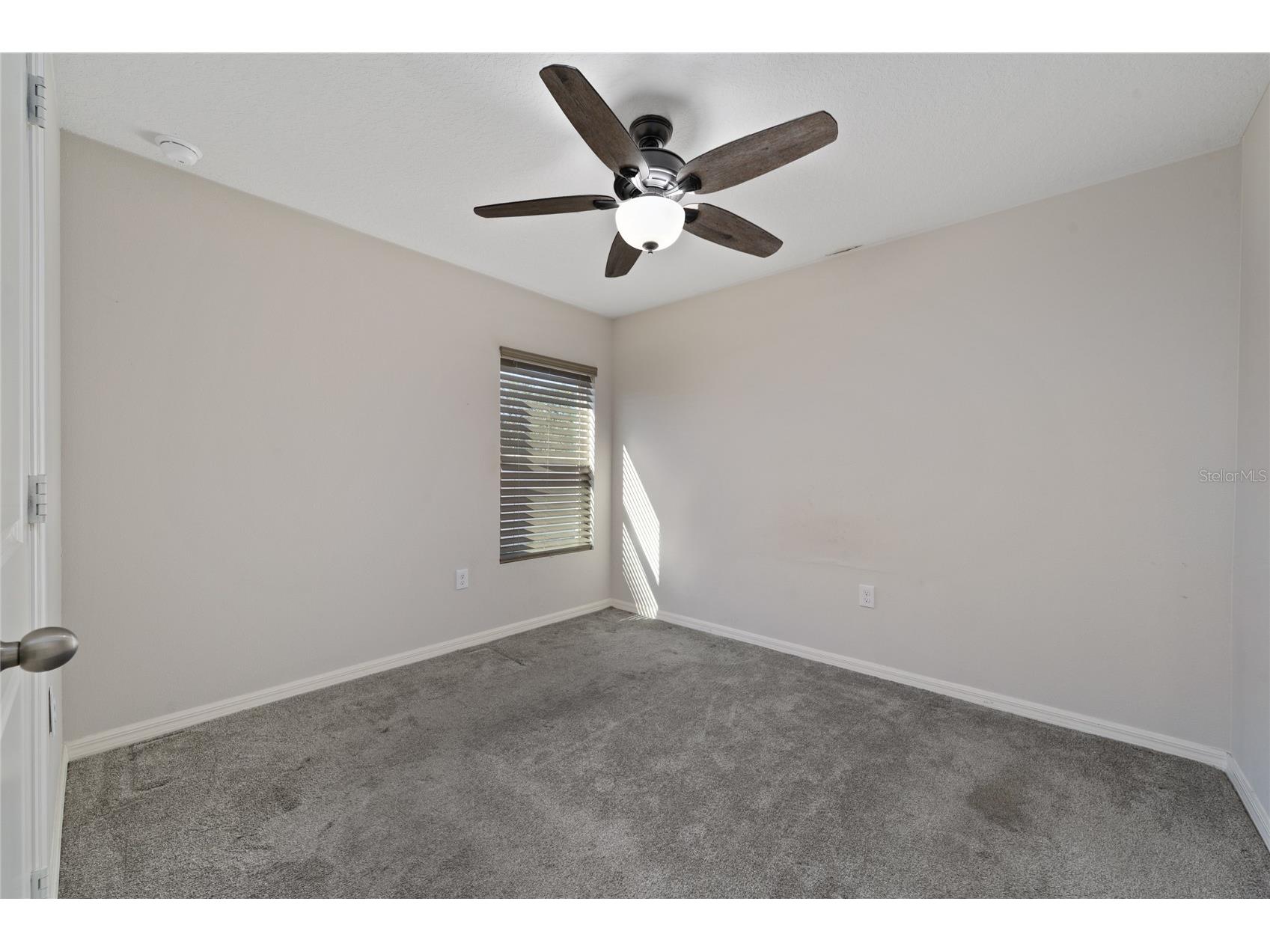 282 Fig Court Kissimmee FL 34759 S5153052 image18
