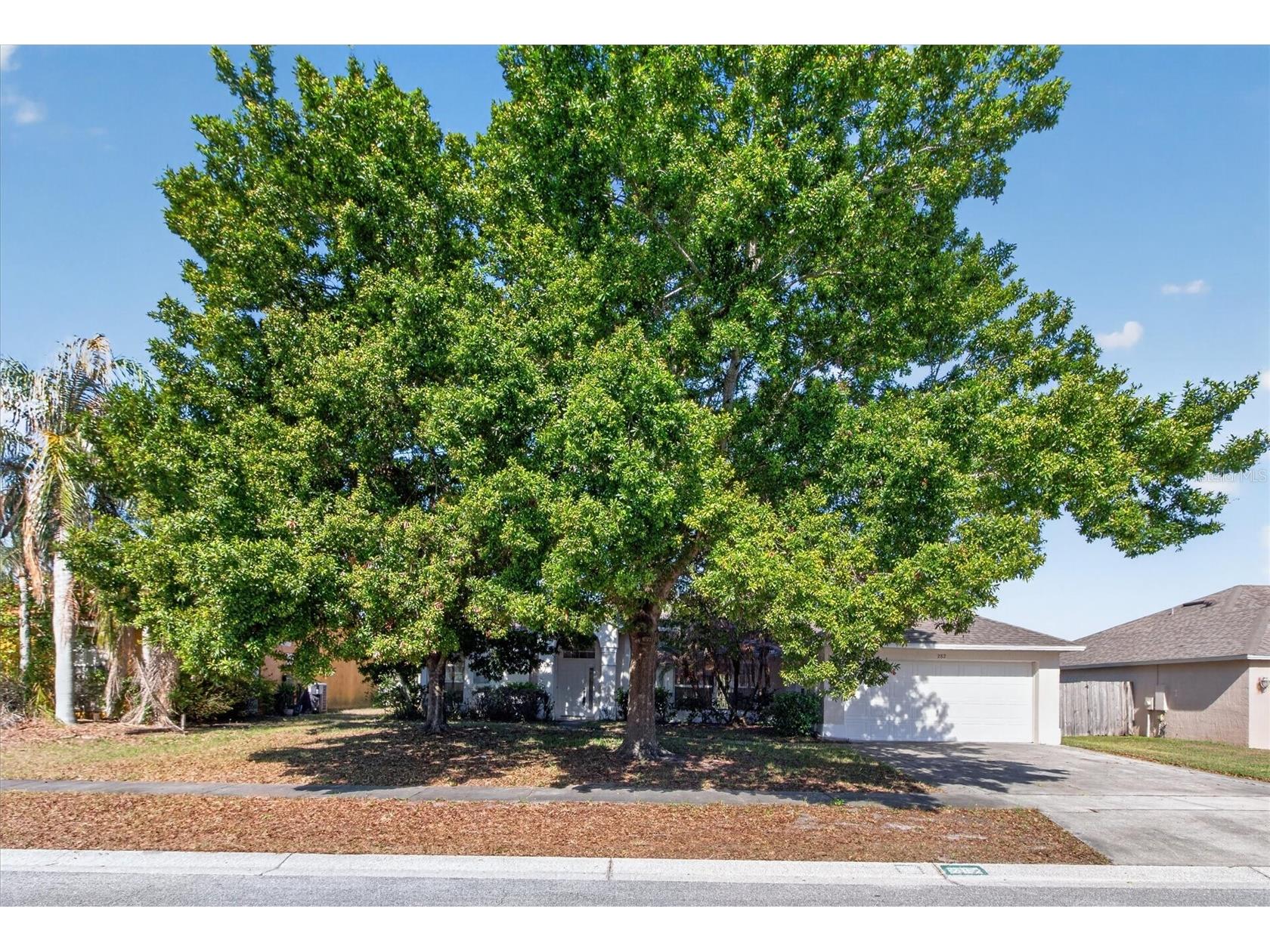 282 Pine Arbor Drive Orlando FL 32825 O6399398 image44