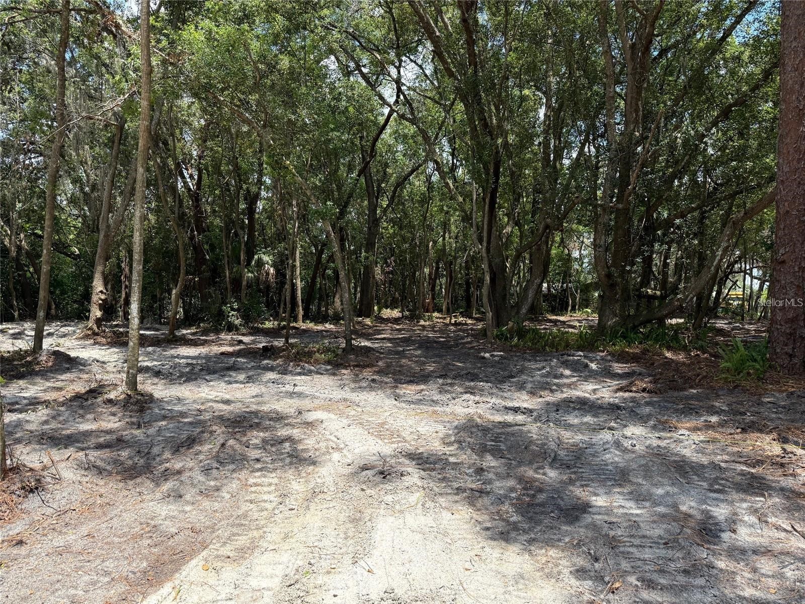 282 S Country Club Road Lake Mary FL 32746 O6410905 image3